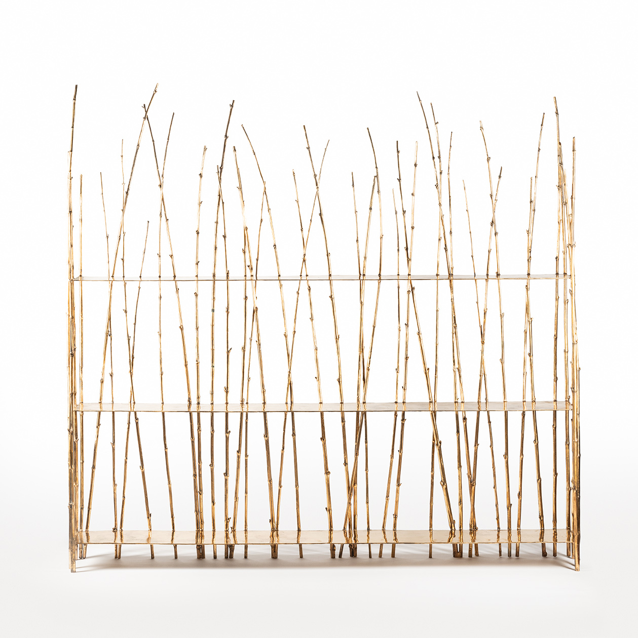 Osanna Visconti, Forest Library