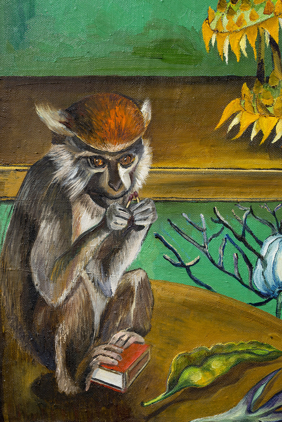 Zoom de Mono Herbolari