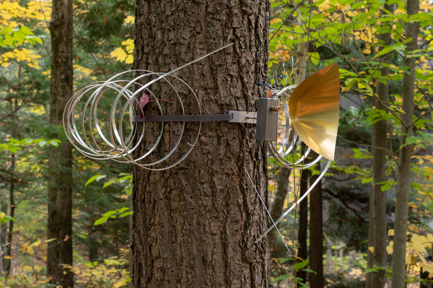Ioana Vreme Moser, Arboreal Receptors N3, 2022. Photo : Paul Litherland