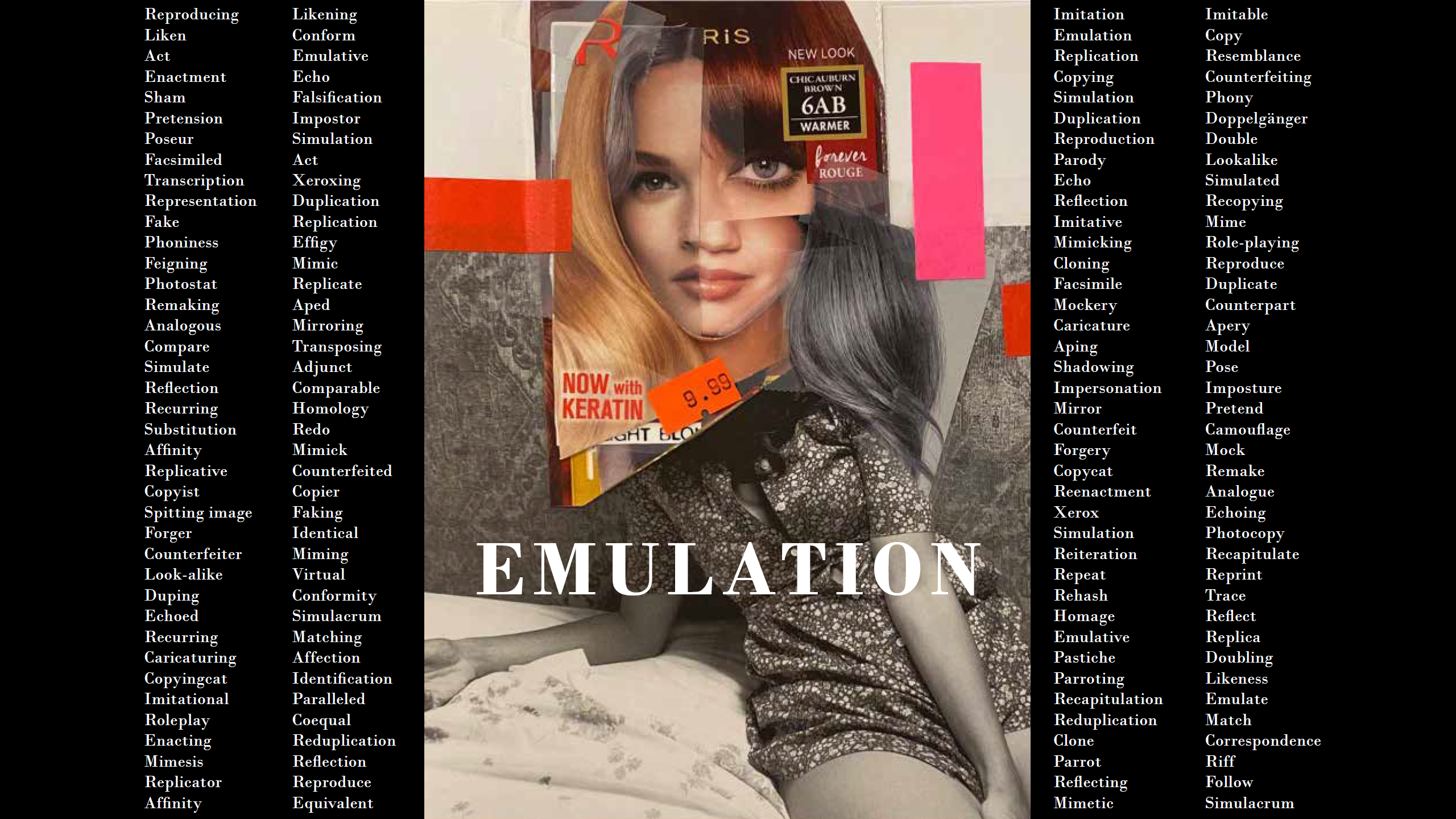 EMULATION by Vladimir Rajkovic