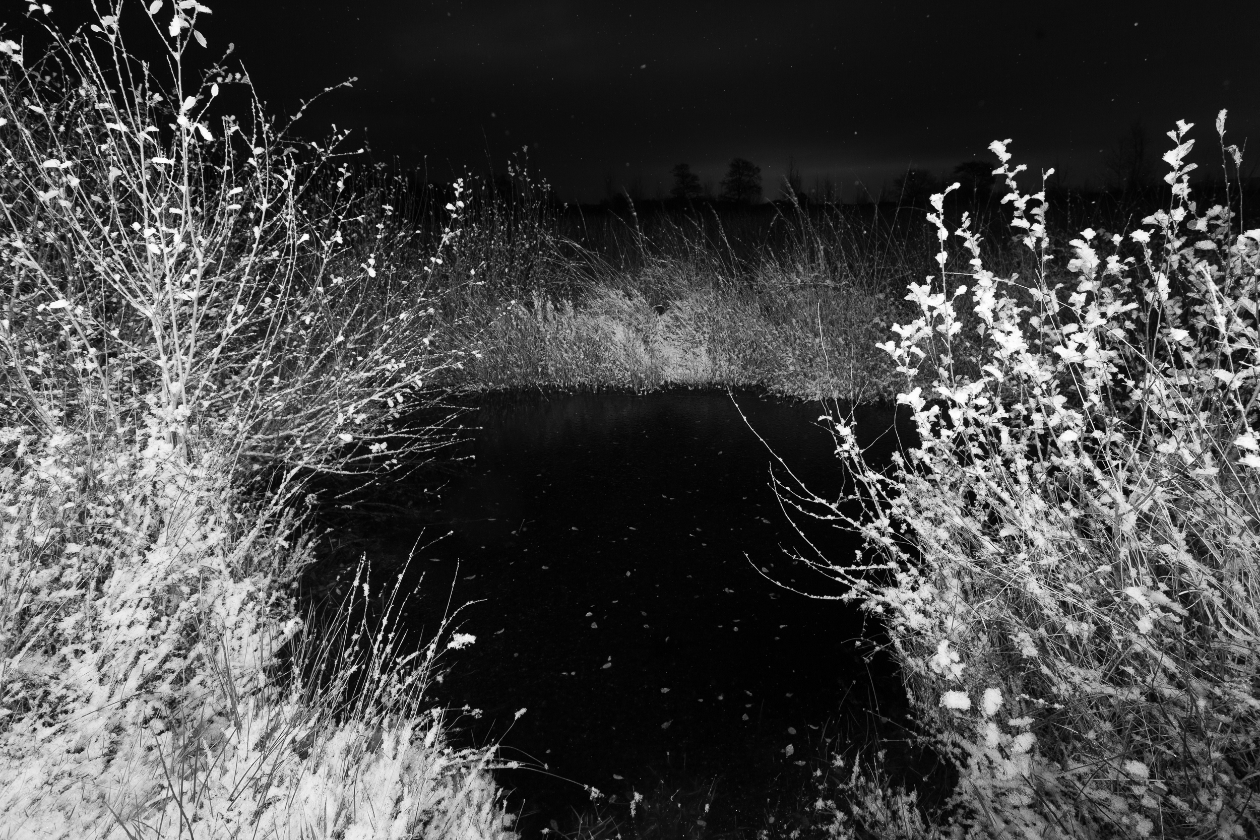 »Tief verwurzelt«, 2023