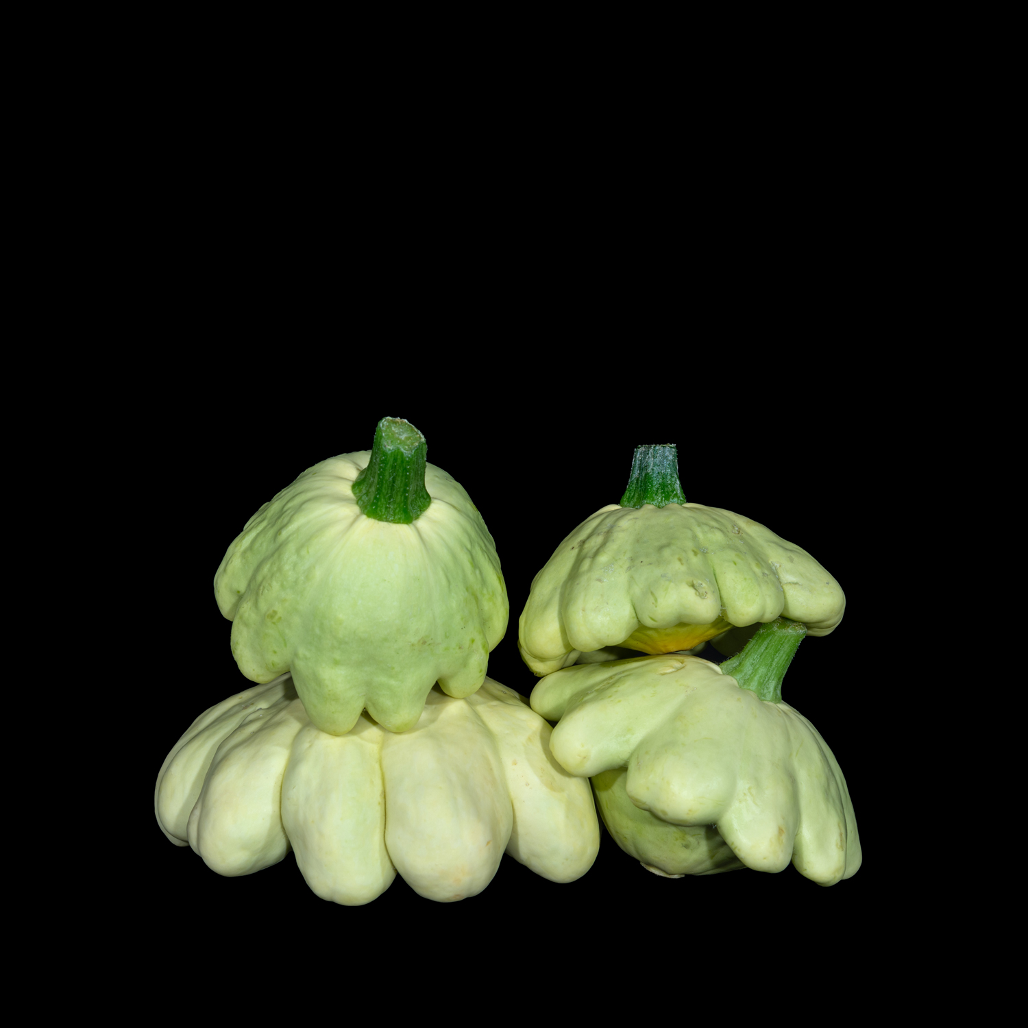 Squash (Castle Carberry) (2023)