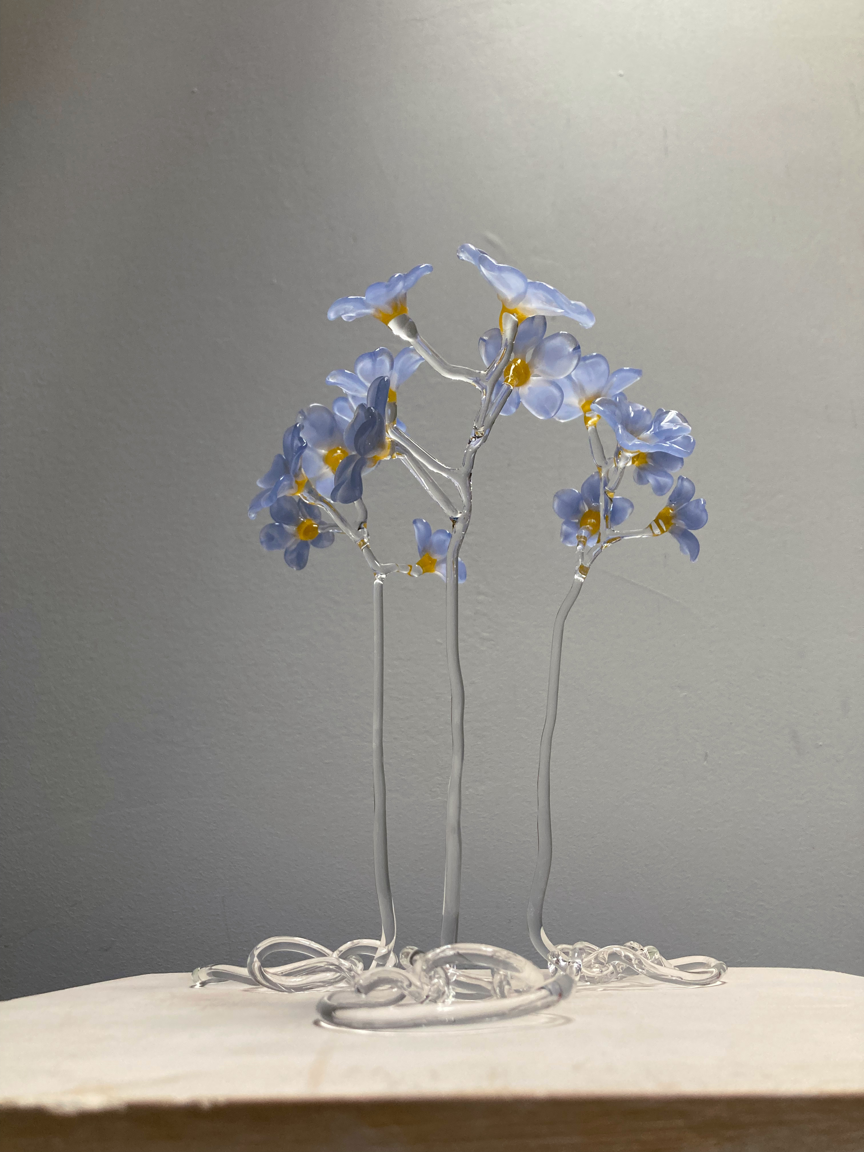 "Forget-me-knots" 2023