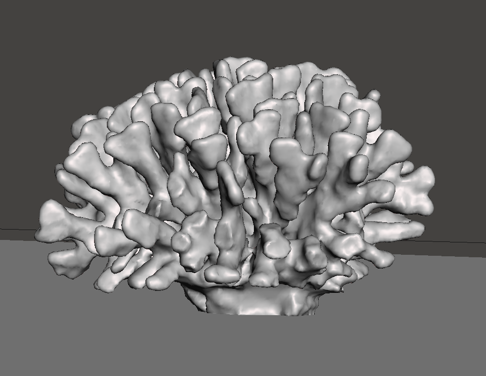 Input images into software Meshroom to create 3D render