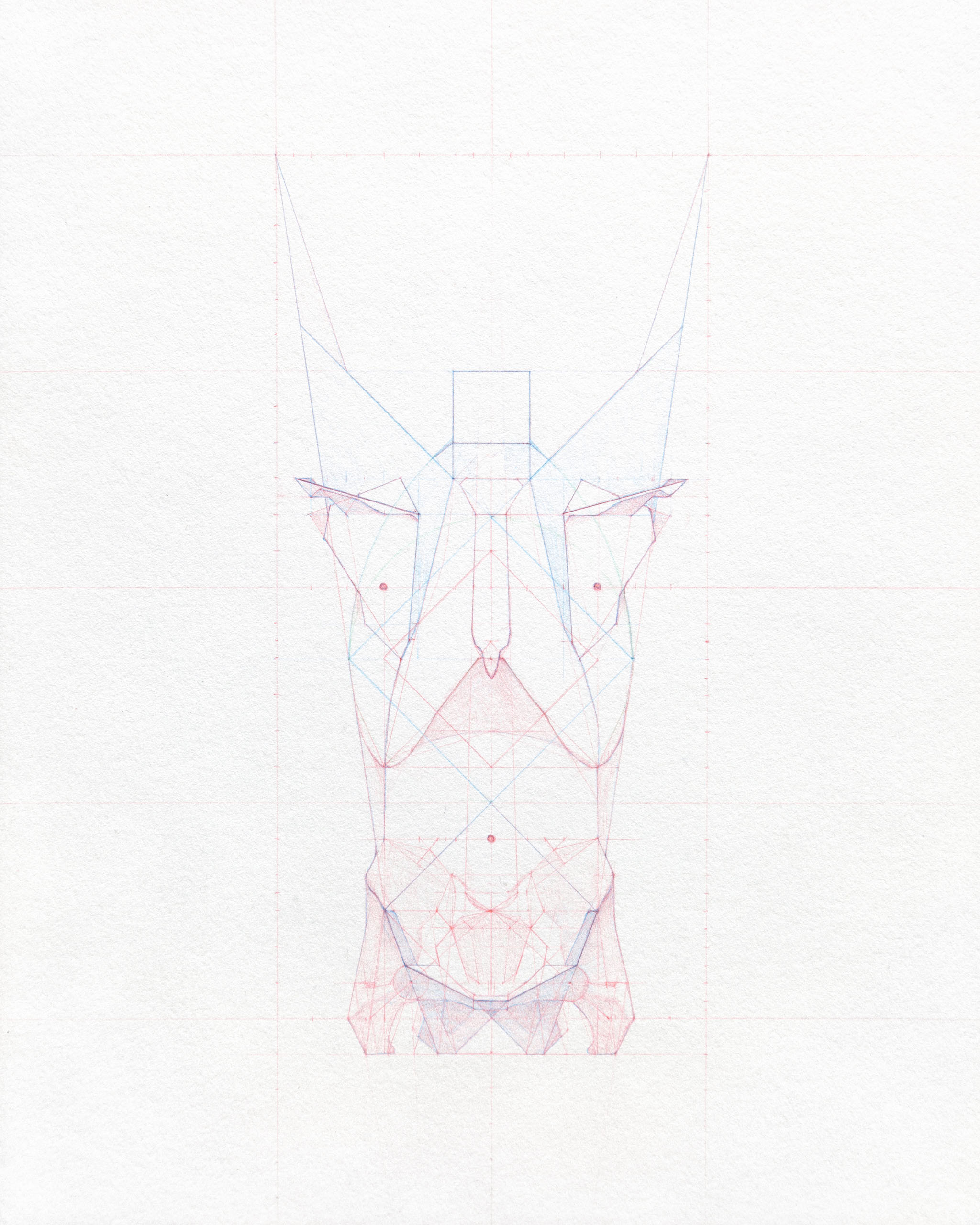 Torso 10x8 colored pencil on paper 2011