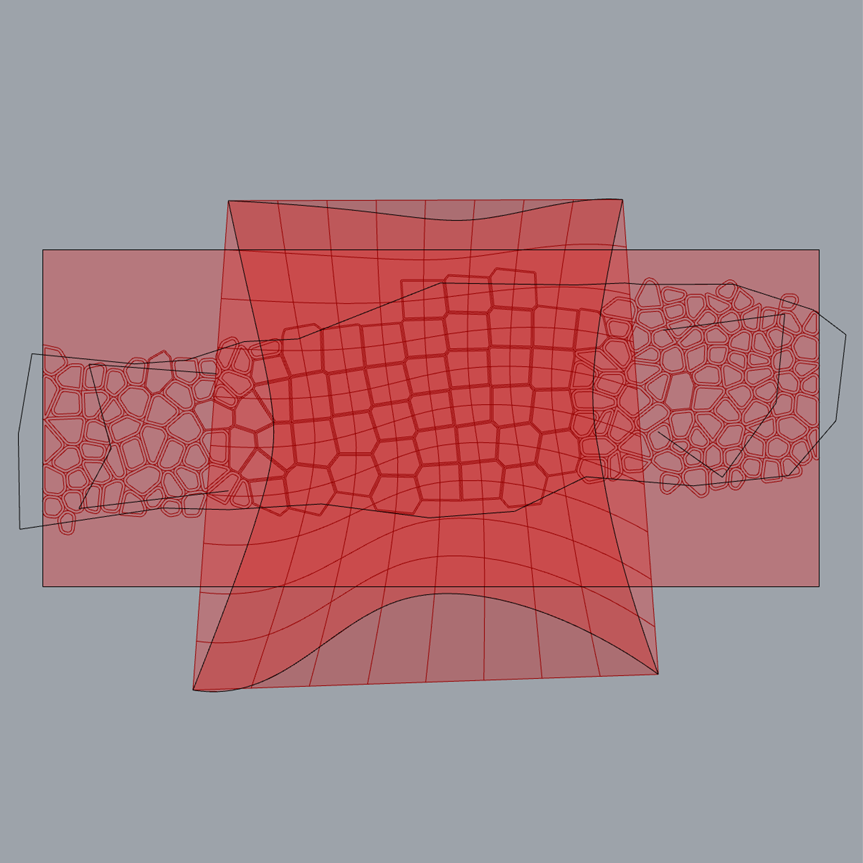 2D capture of Voronoi pattern development