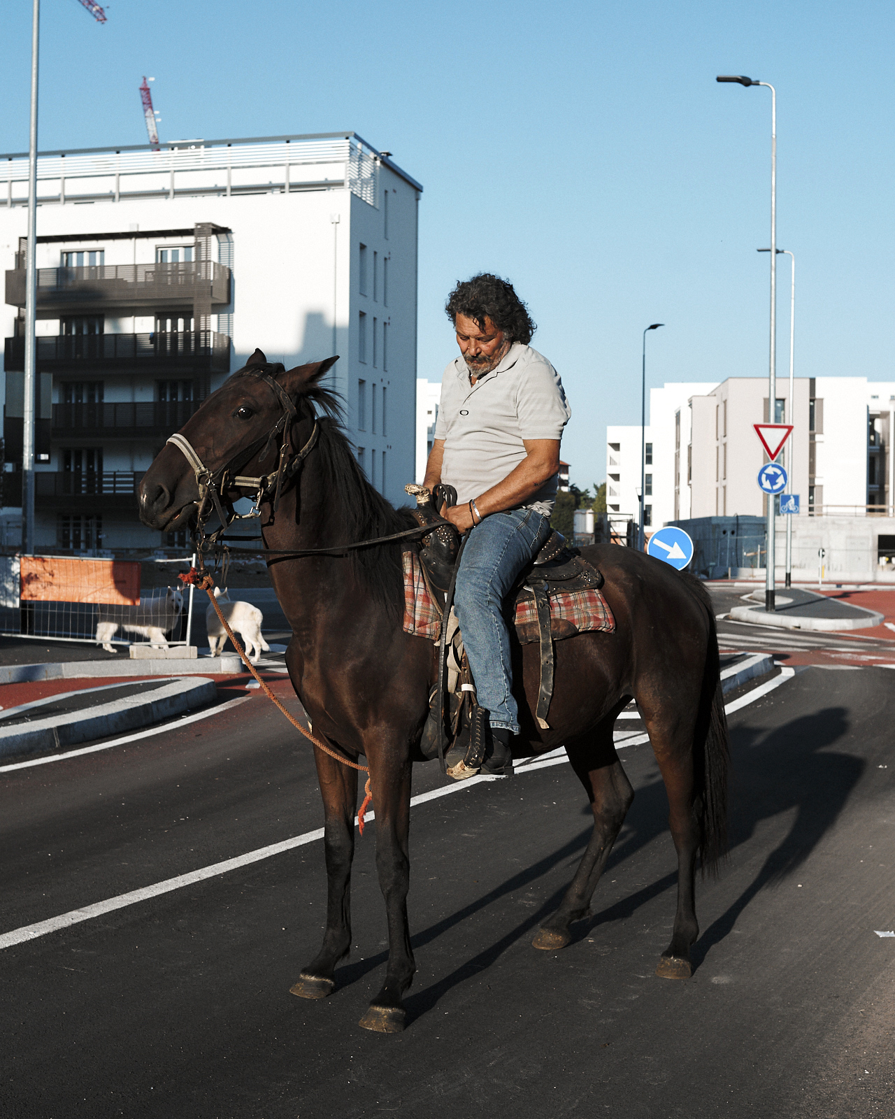 Alfredo, Milano, 2019
