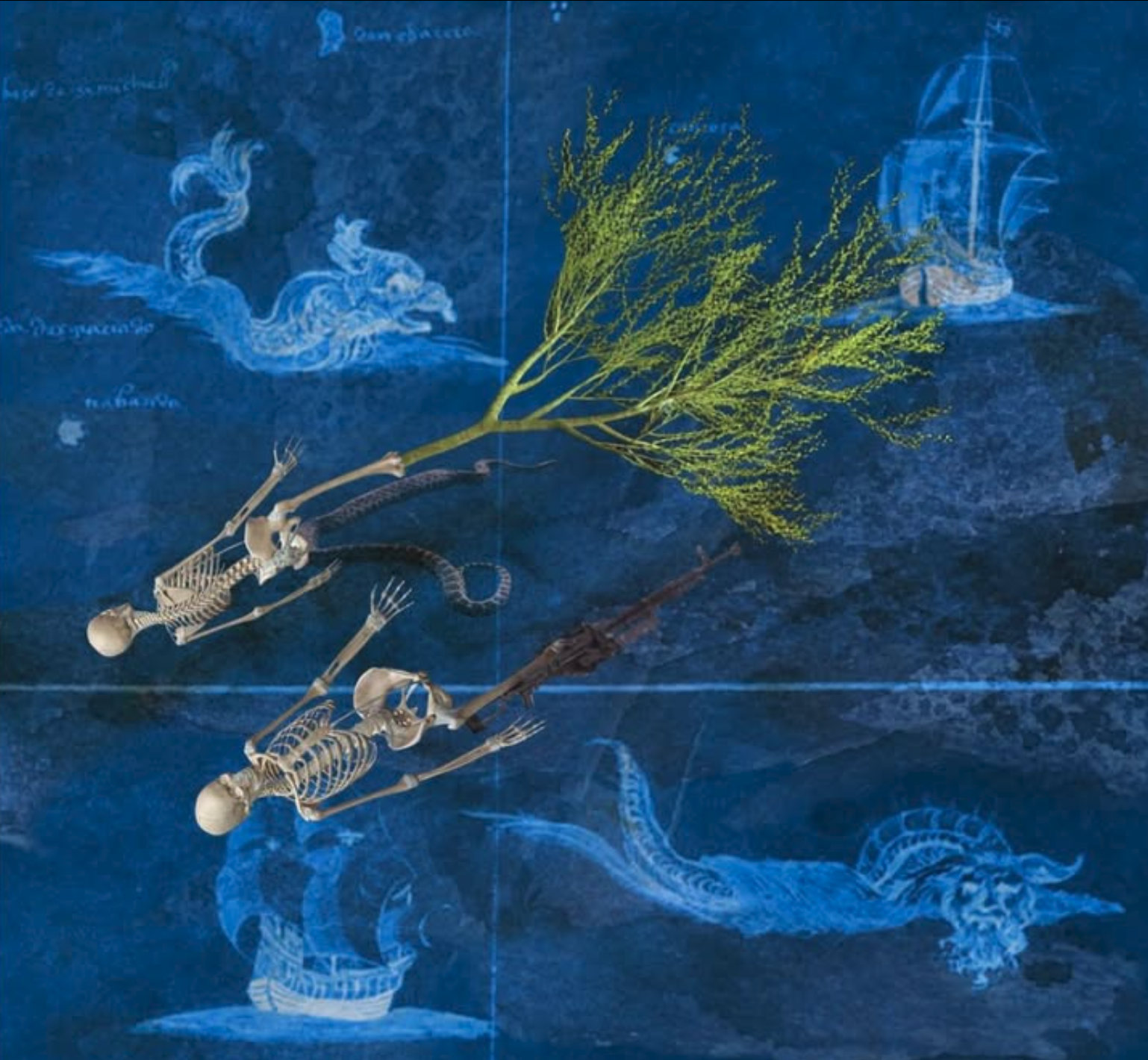 untitled, digital collage, 2024