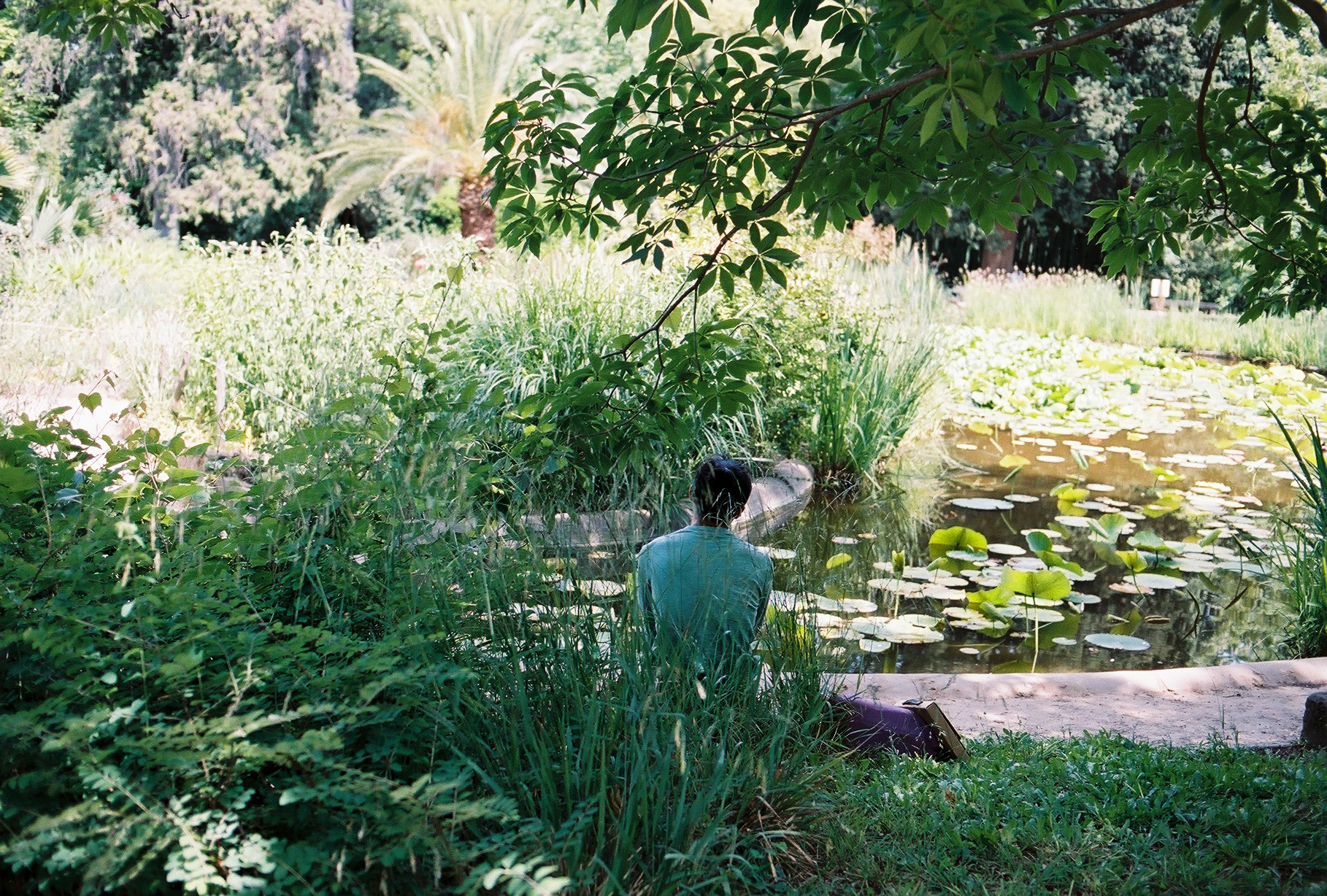 Montpellier, France, 2016.