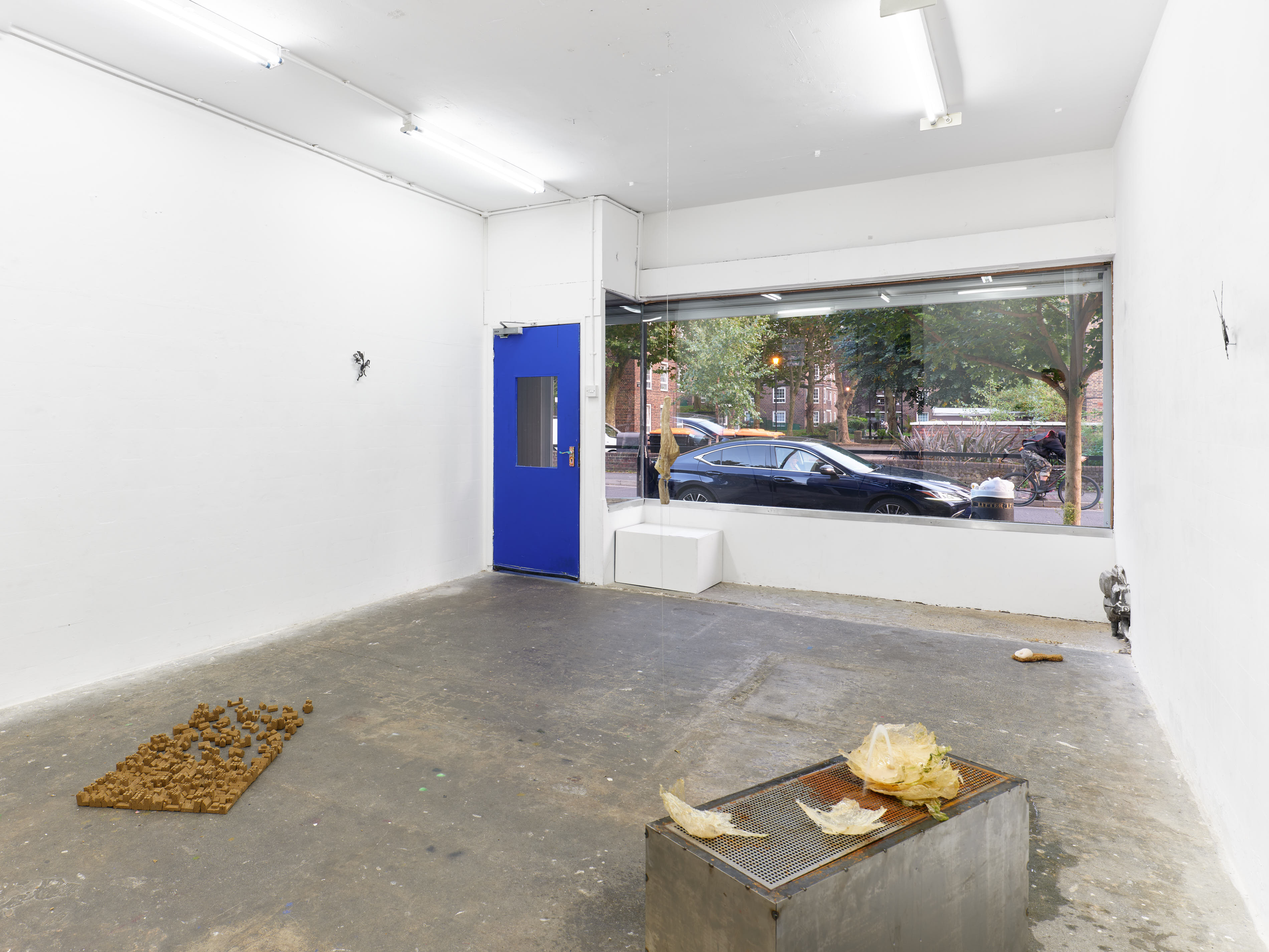 Installation view. Jasmine Pajdak [photo credit: M8R8S Studio]