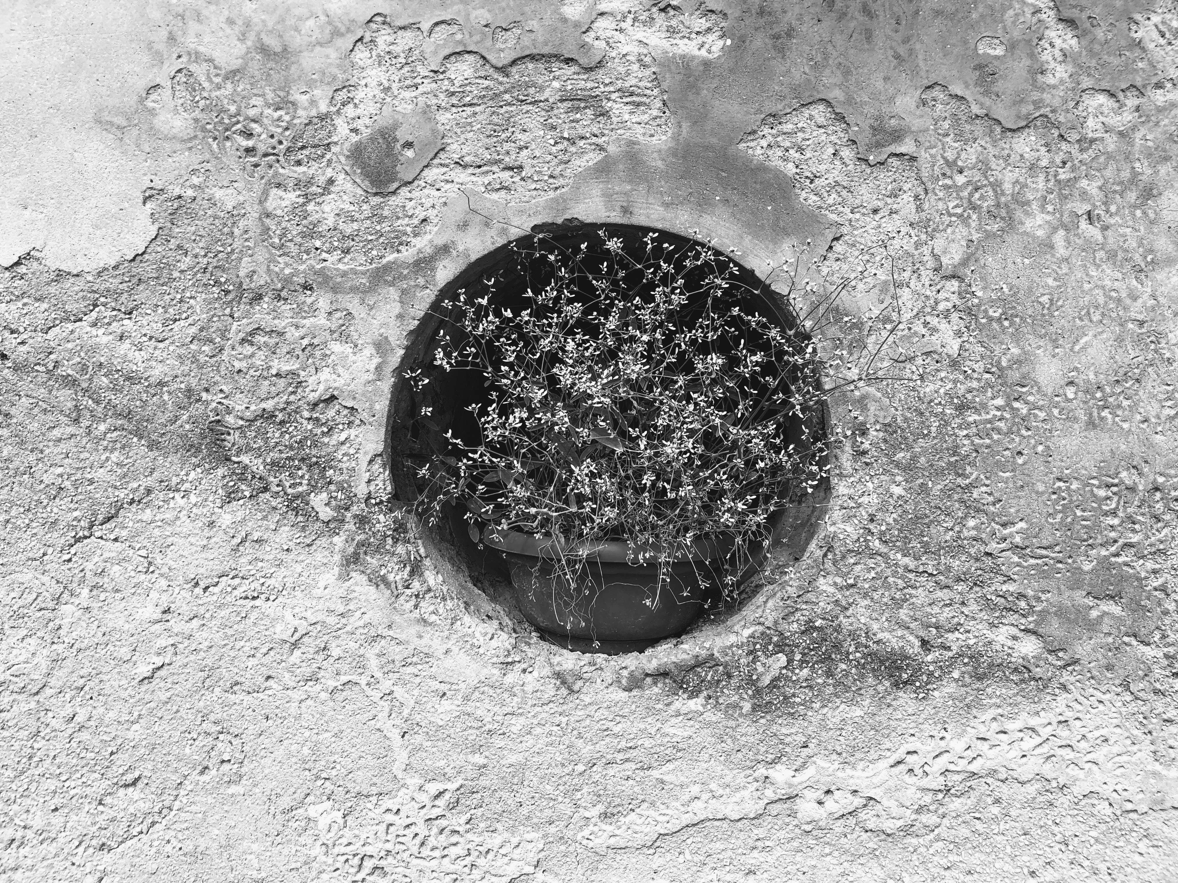 Buco con vaso, Pierosara, Genga (An), 22-8-19