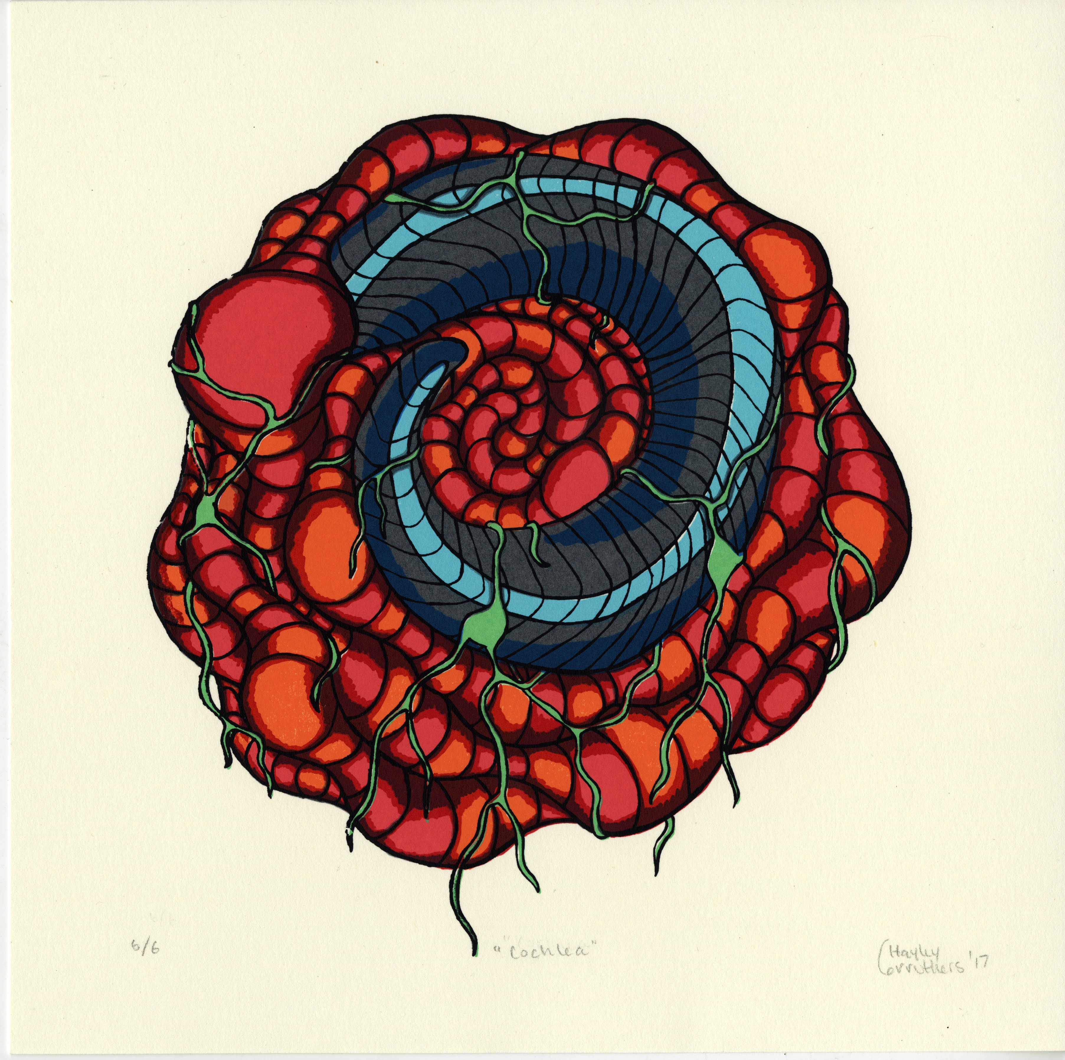 "Cochlea", silkscreen print, 9"x9", edition of 6. 2017