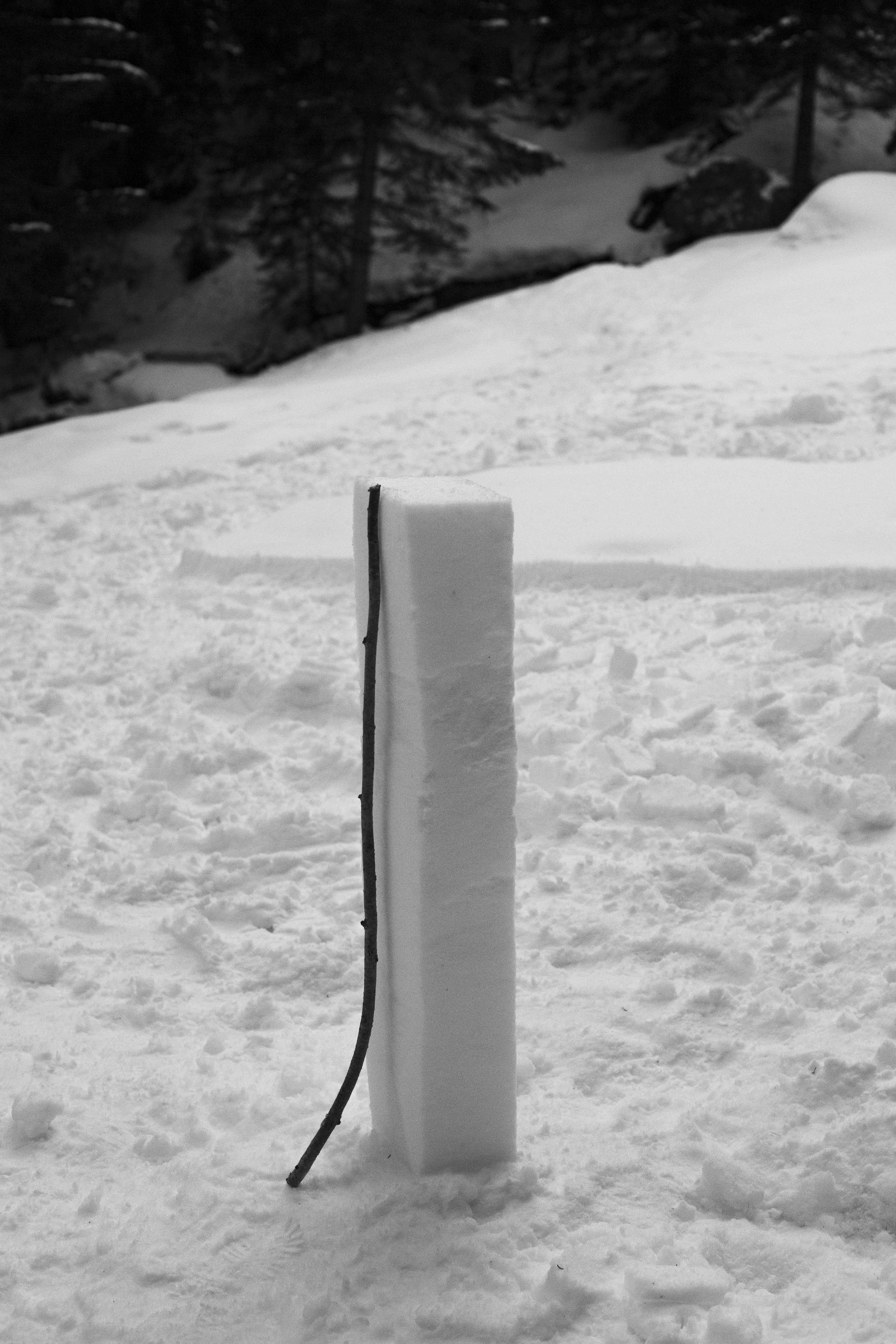 Quand fondra la neige, où ira le blanc ? Chamonix, 2020