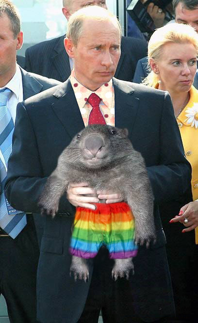 Putin holding a wombat