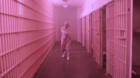 Symbion Project - Arcadian