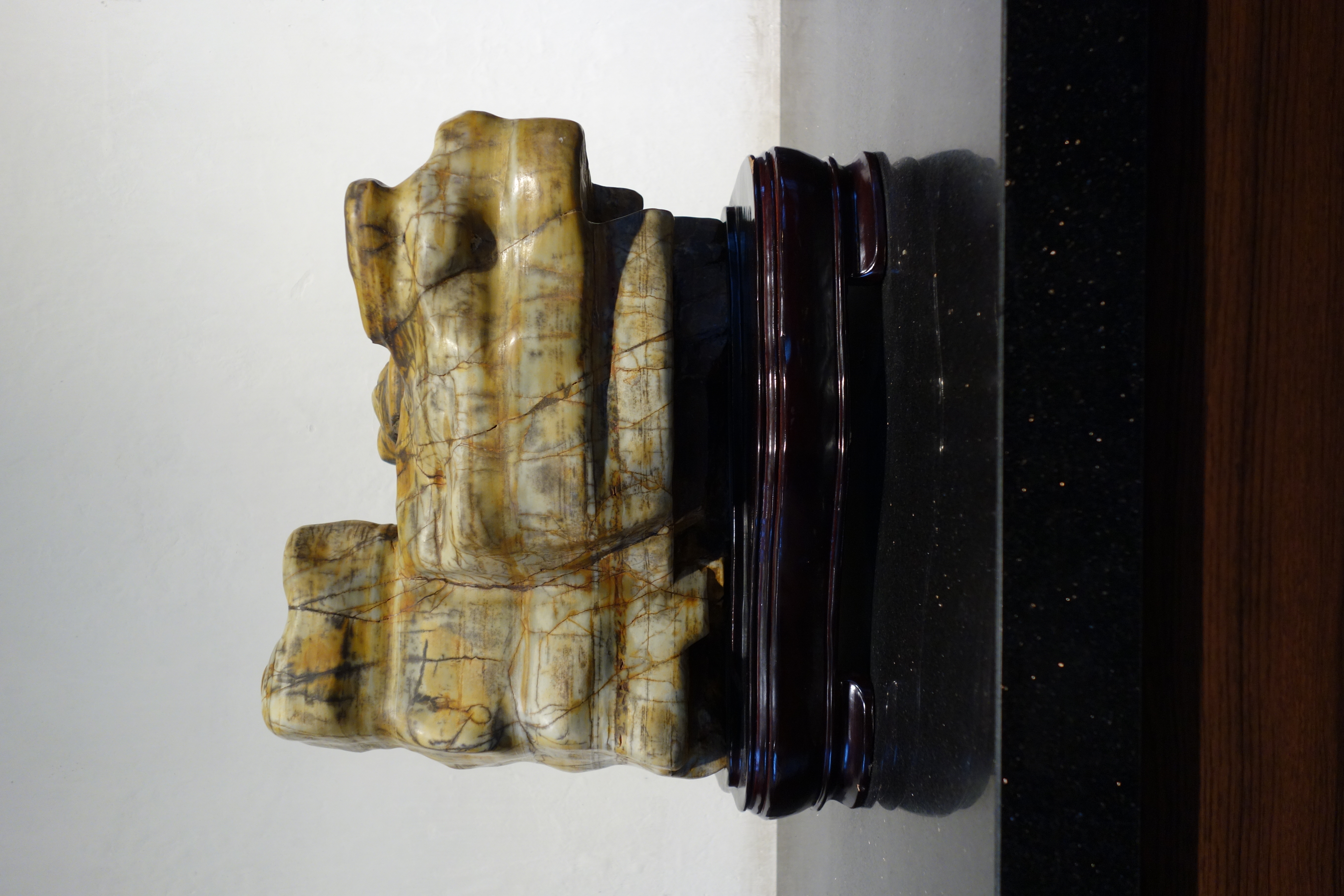 Gelehrtenstein im Löwenwald- Garten, Suzhou, 2019