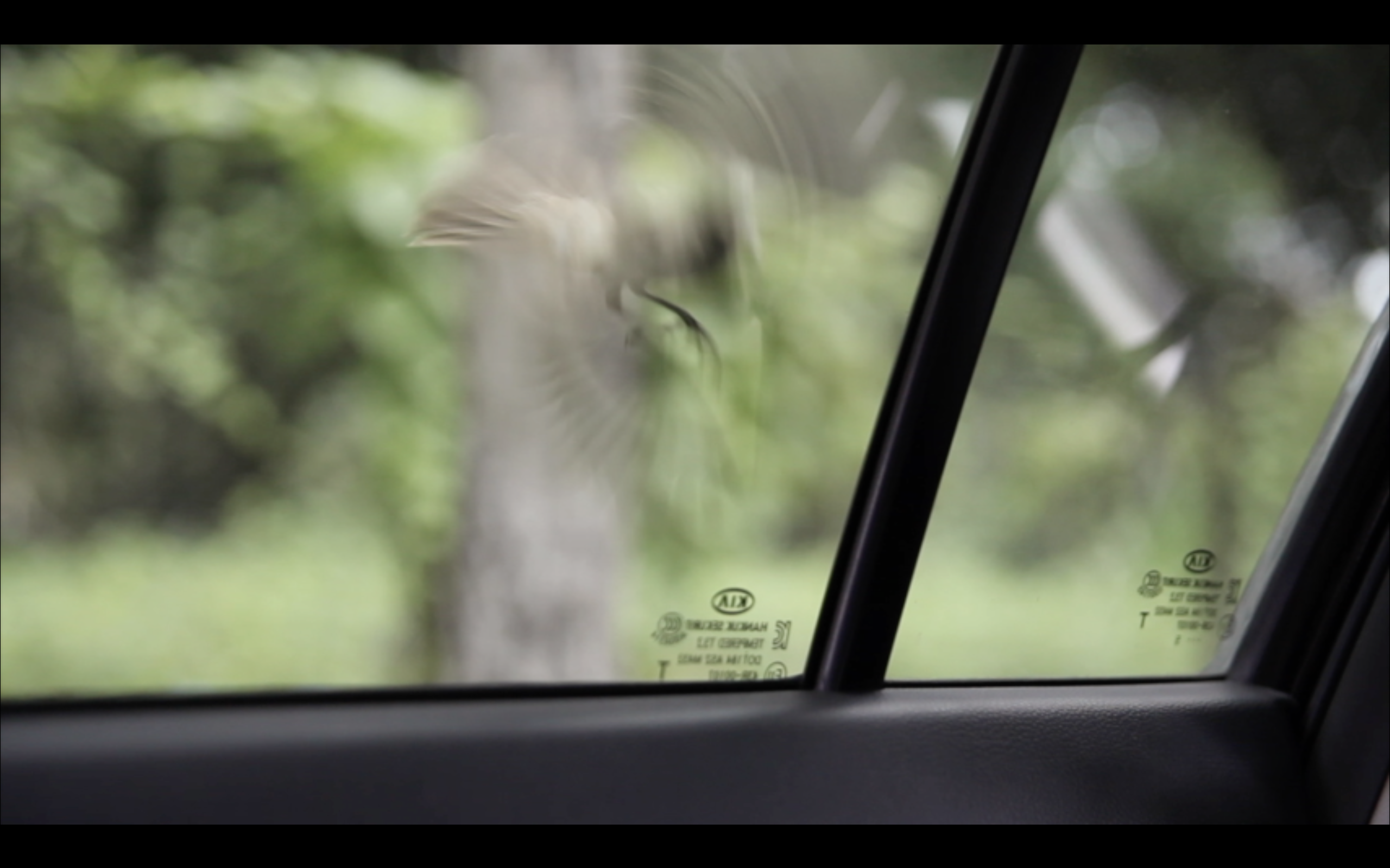 Video still, Take a Wake to Cure Melancholy (2018 - 2020).