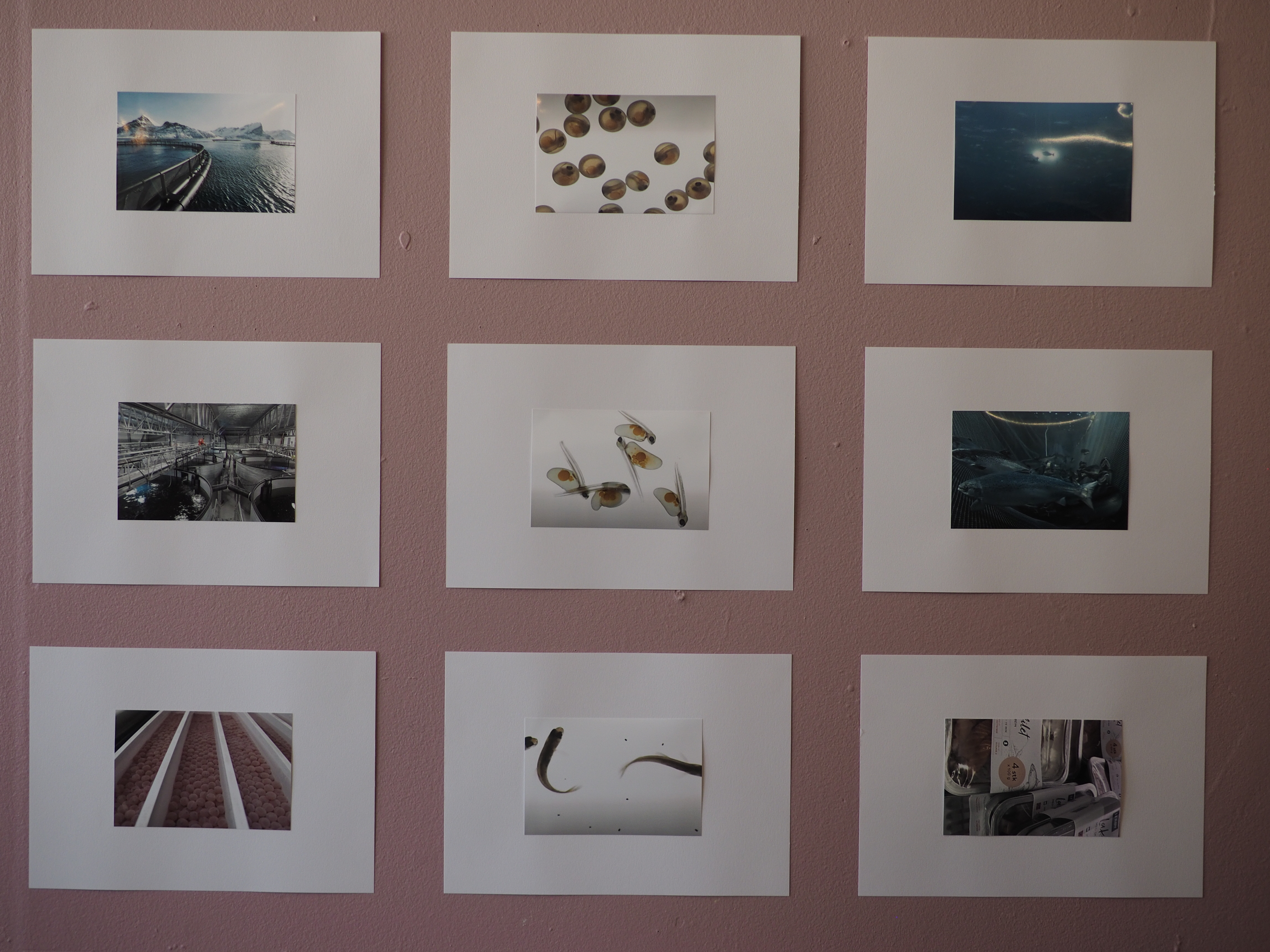 Kirsten Remmers- Armin Linke