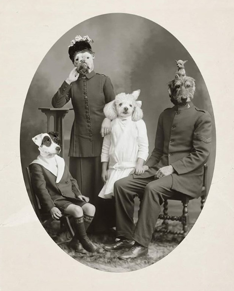 Regina Lafay Bellamy