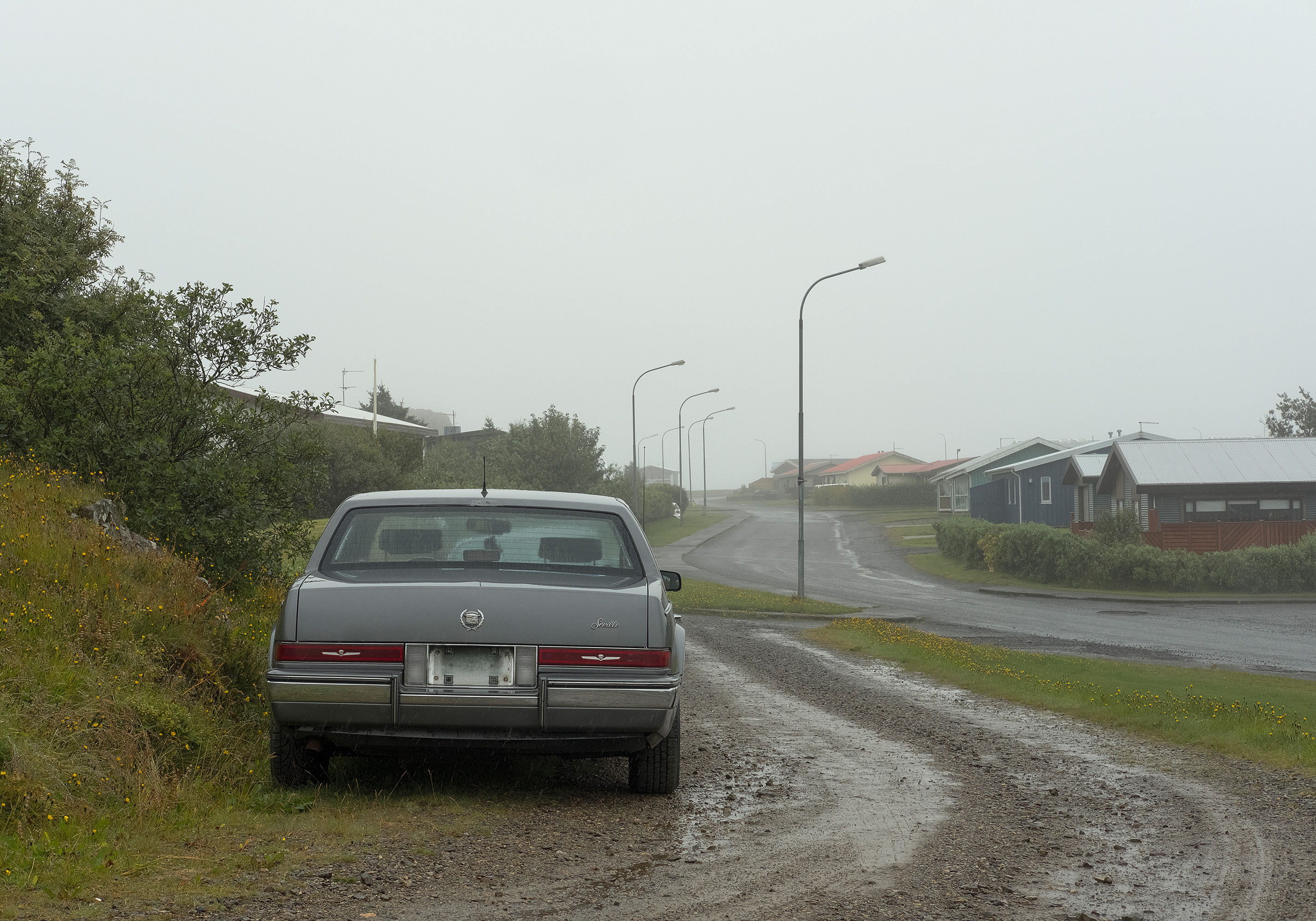 Domingo Nardulli TIFF