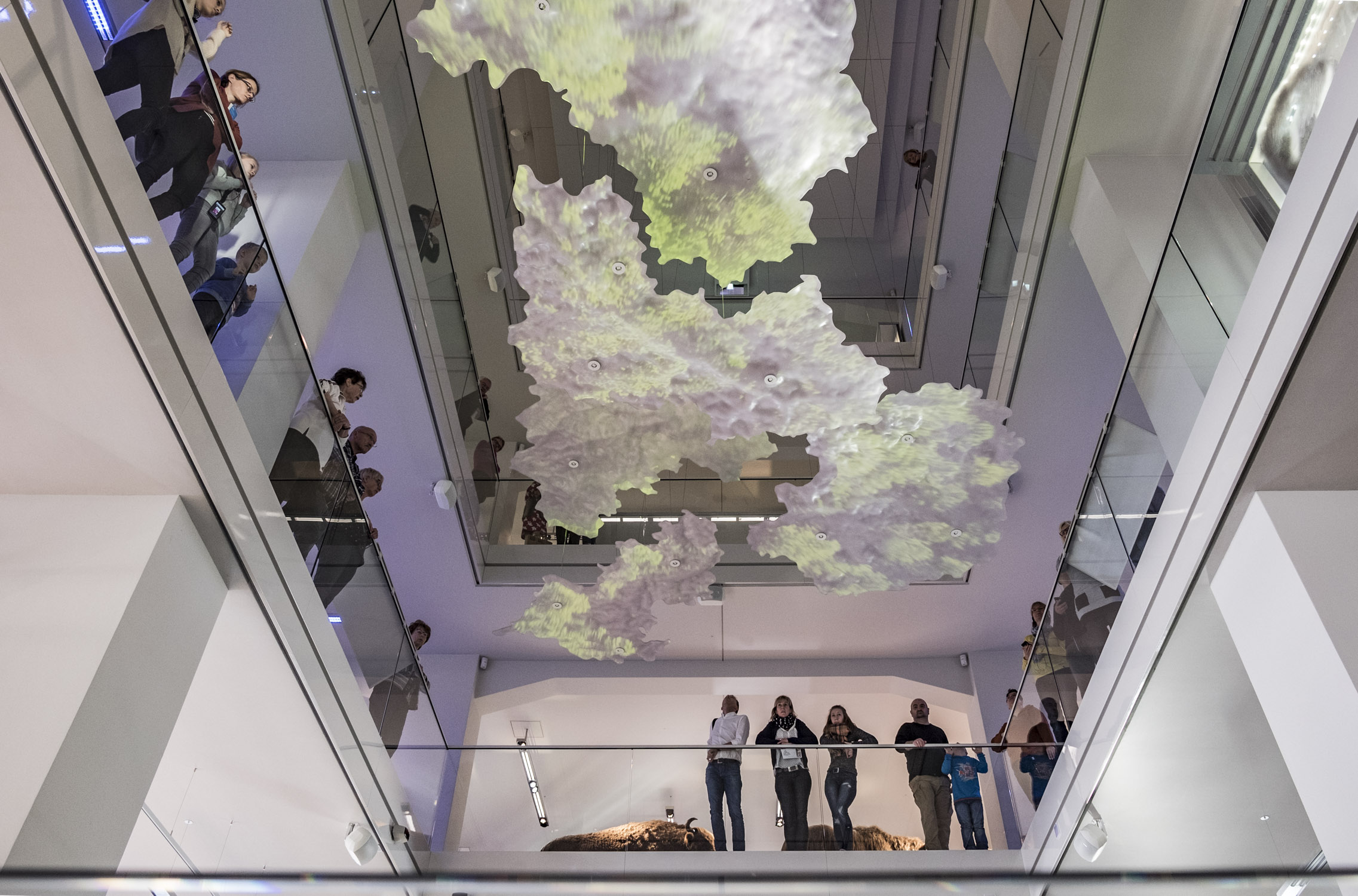 smac - Staatliches Museum für Archäologie Chemnitz