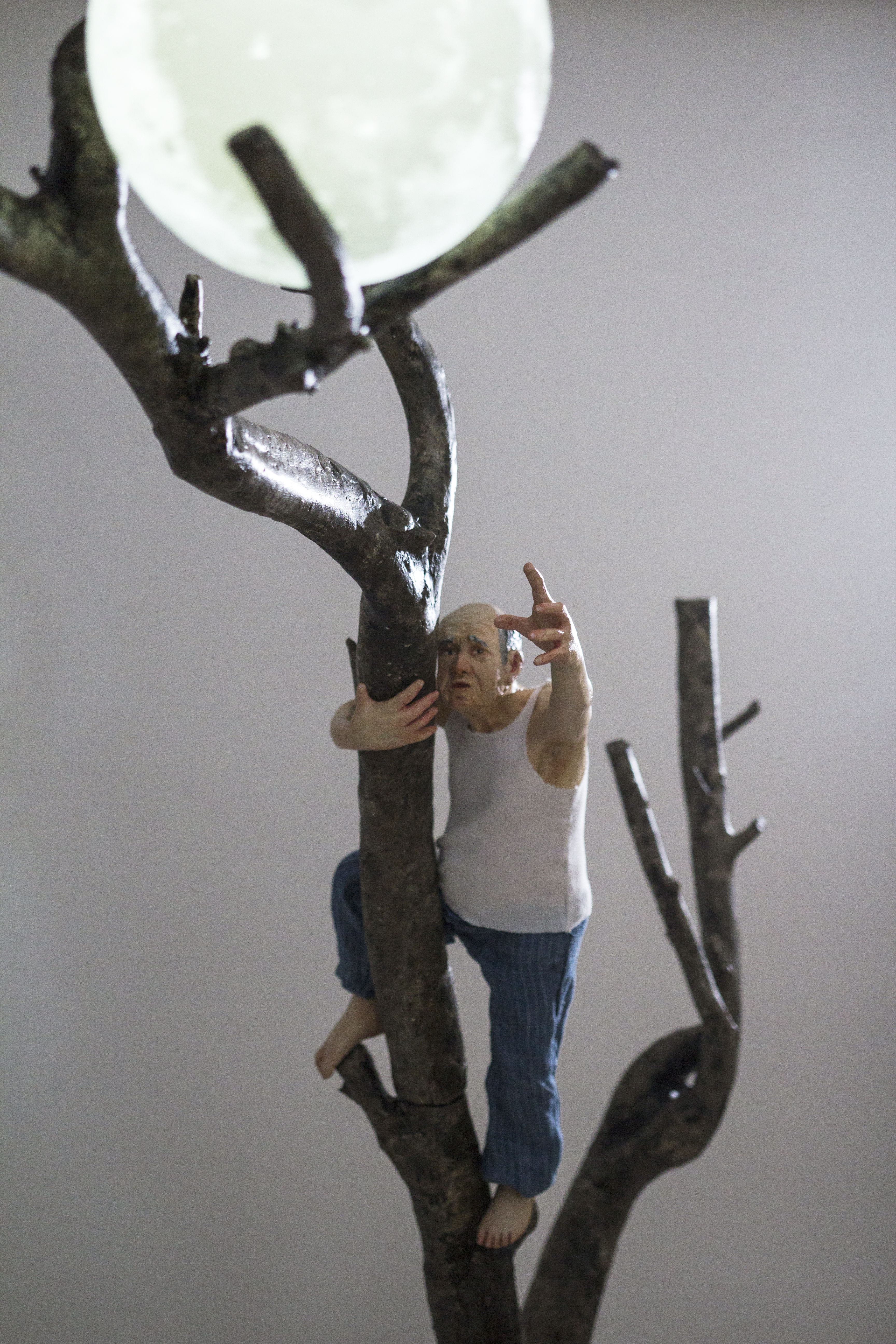 160x50x30 cm