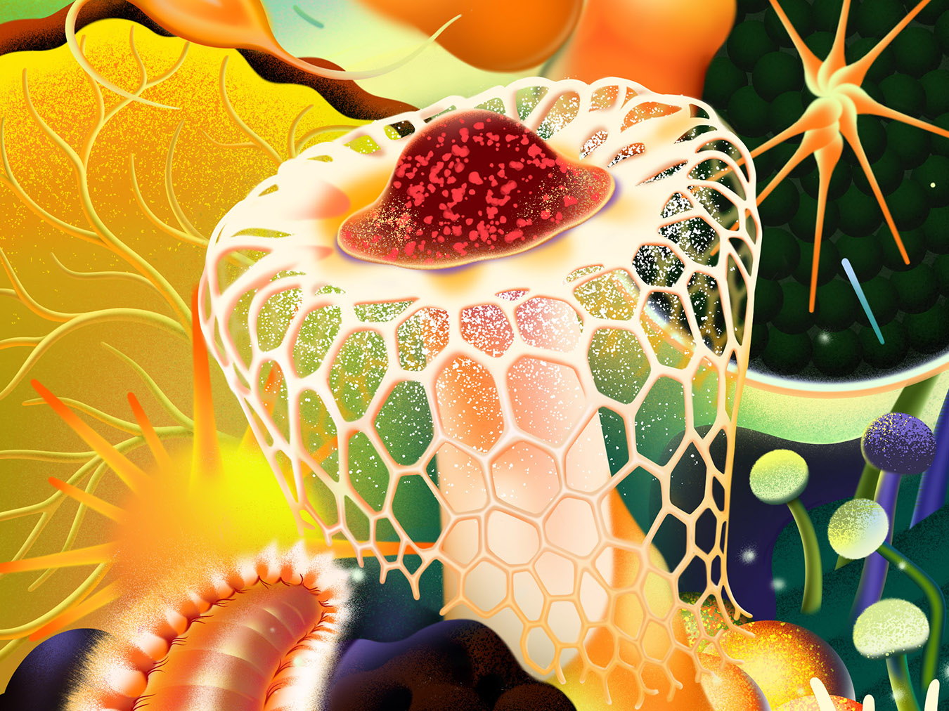 Grow - Synthetic Ecology