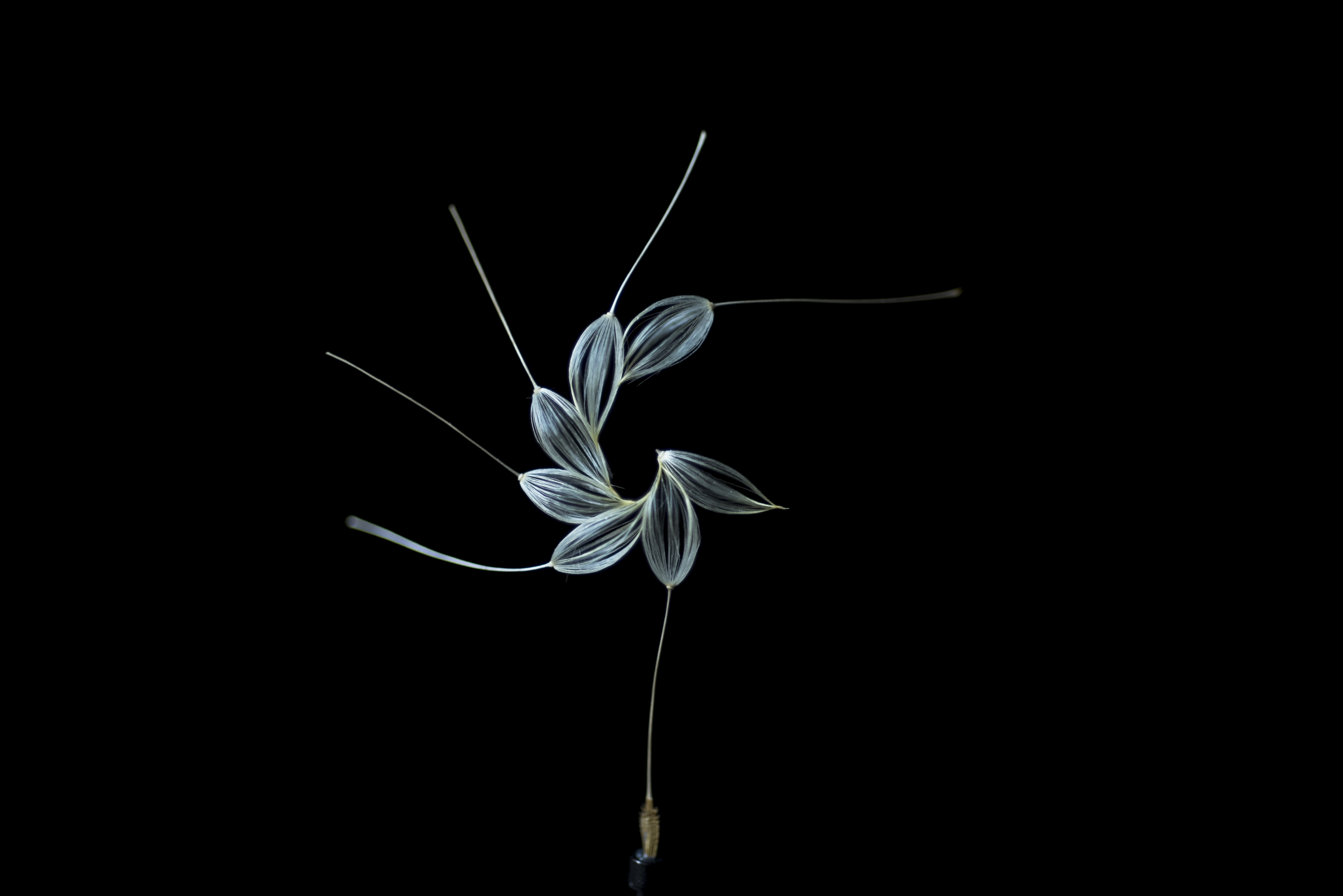 watage20180215 40×35×4 (mm) 0.0021g