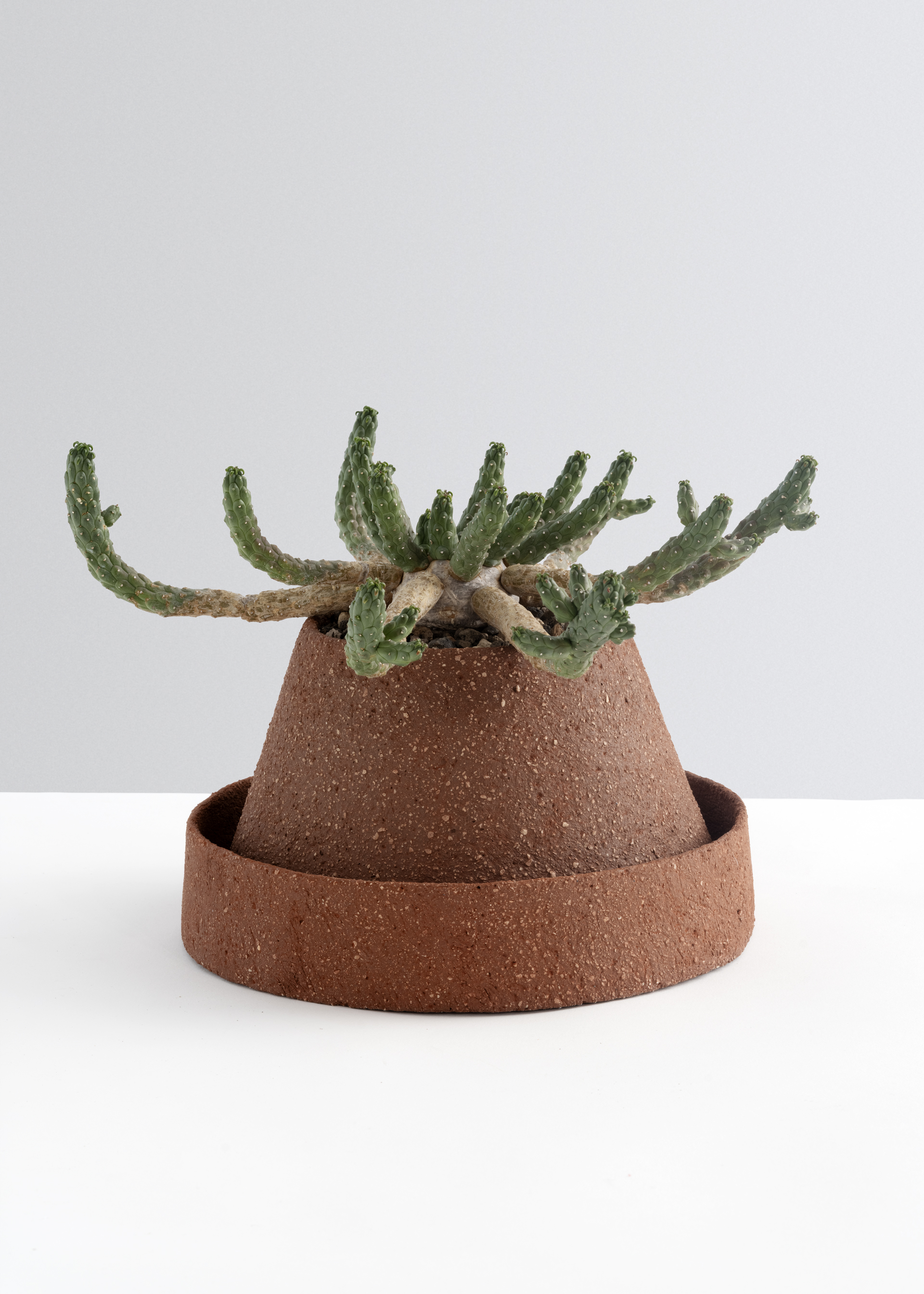 DBSR No 14, 2025 Clay, handbuilt, H 14 x Ø 22 cm