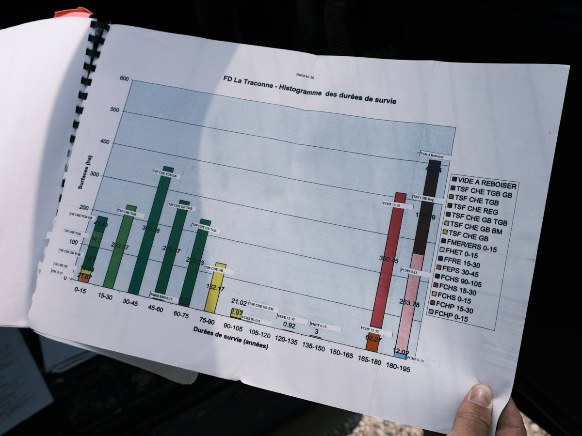 Les données des arbres en fonction de leur tranche d'âge