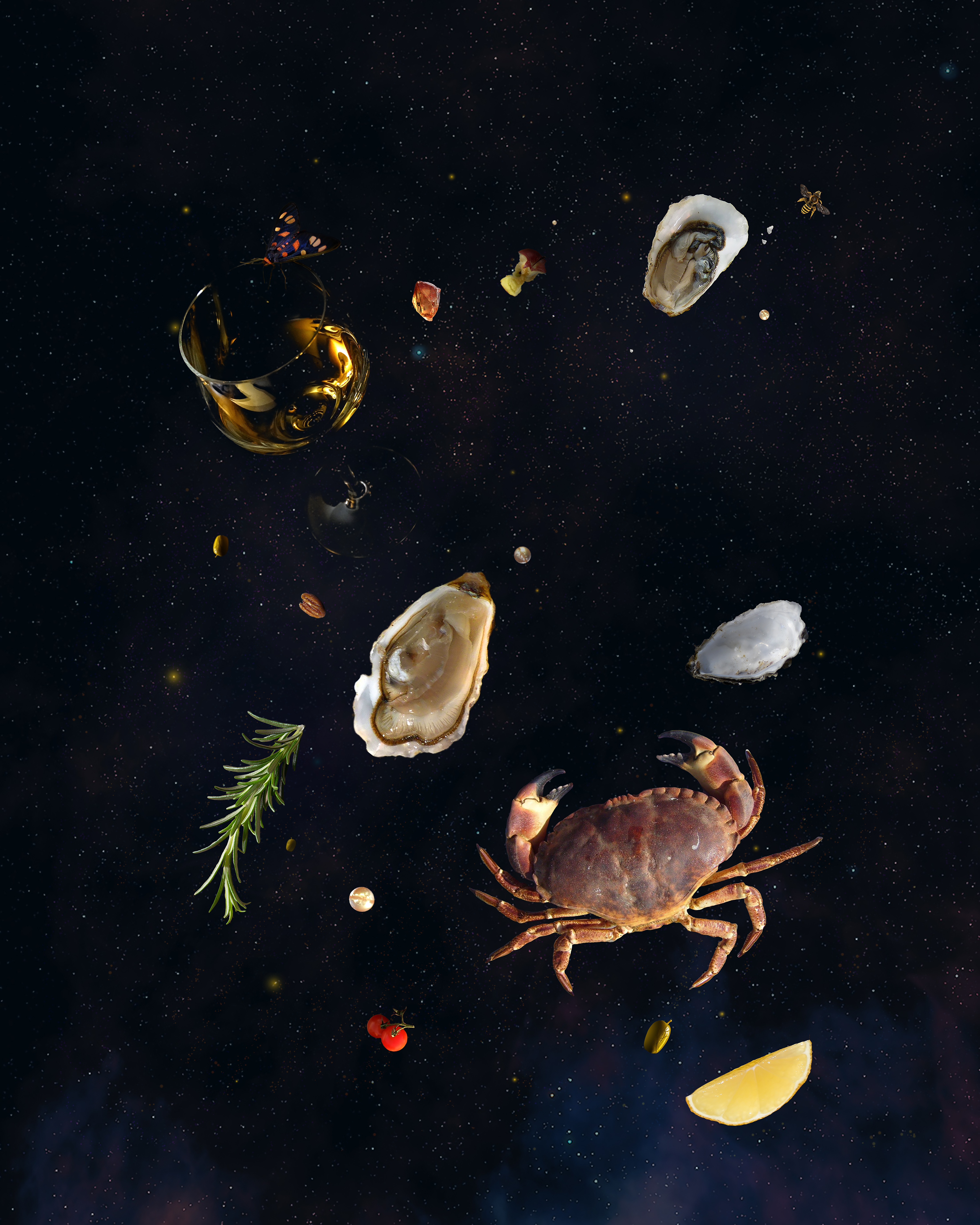 New Zodiac for my Late 20's, 2024