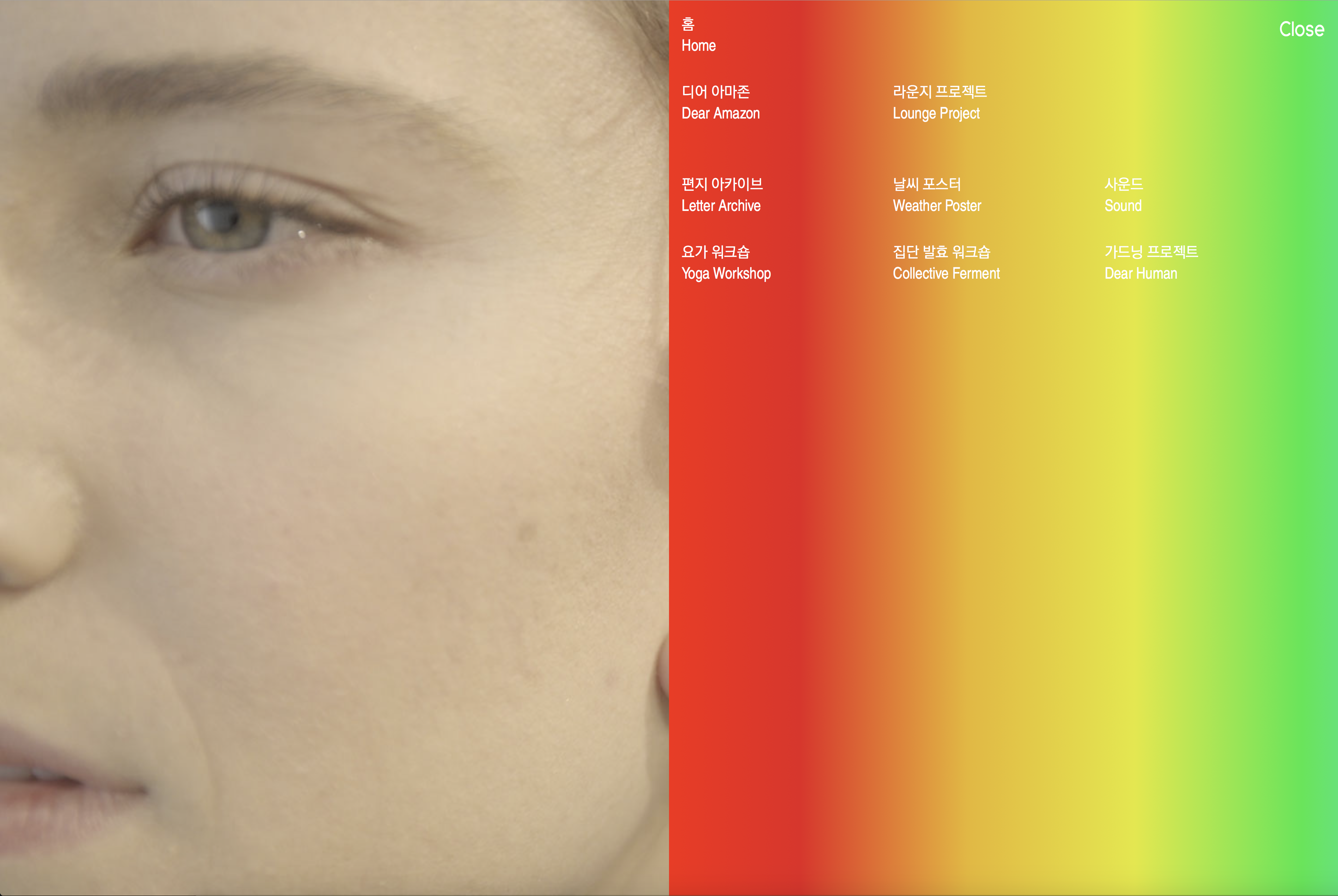 WEBSITE  Dear Amazon  Ilmin Museum of Art