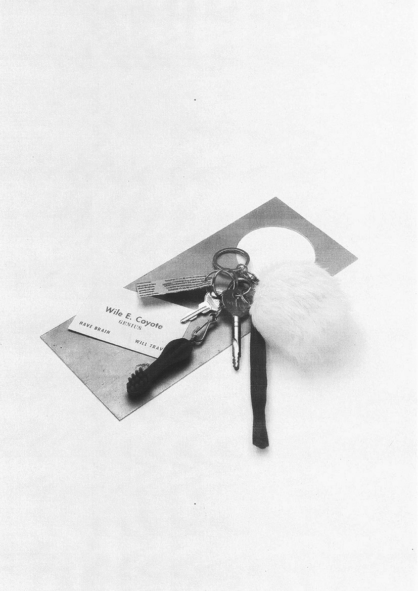 1/5 Get a room !!! – Clés, accroche-porte, pansement, carte de visite, friandise dentaire, fourrure, dimensions variables, 2021