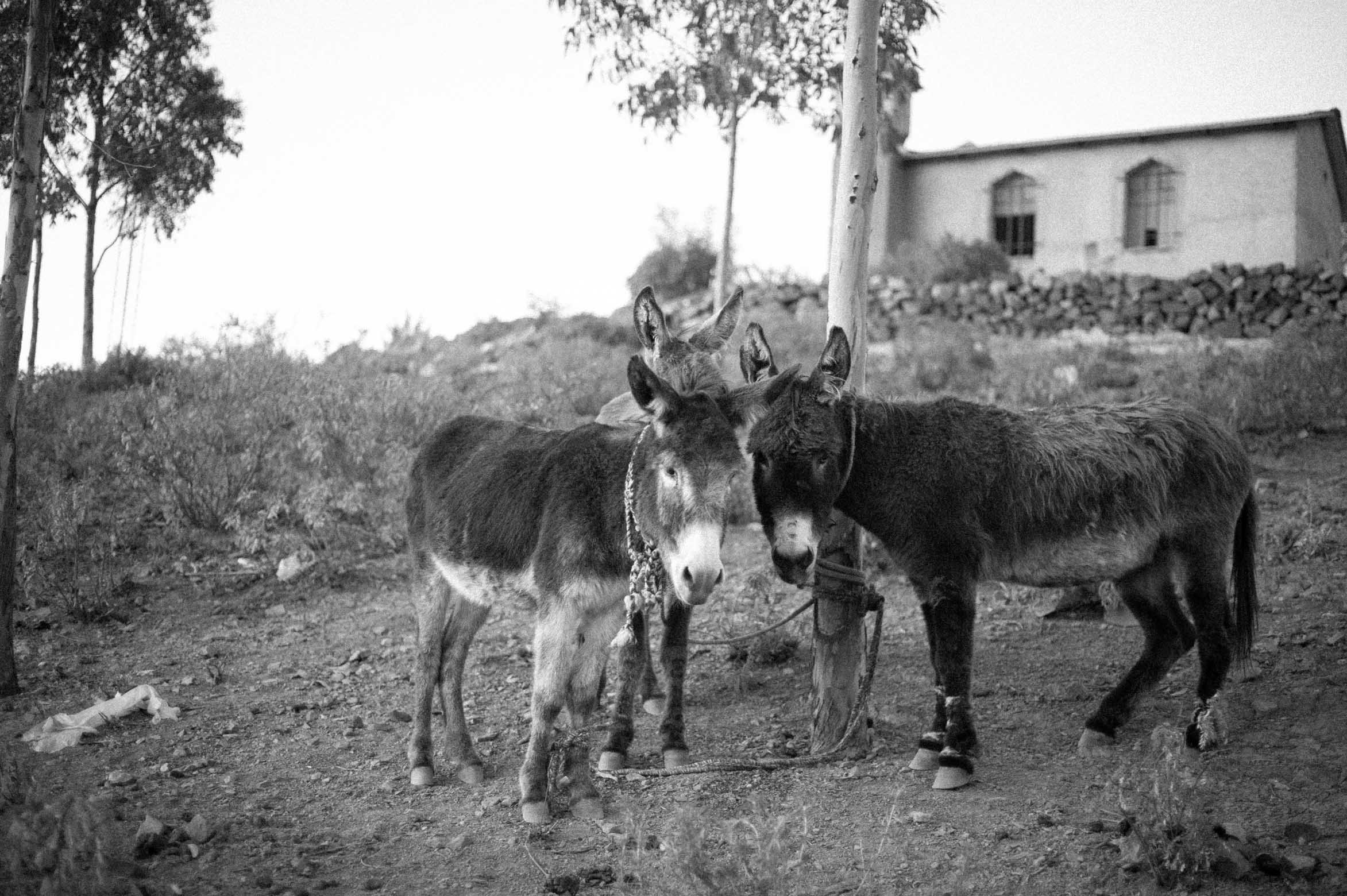 De Origen Noble K, Ey!