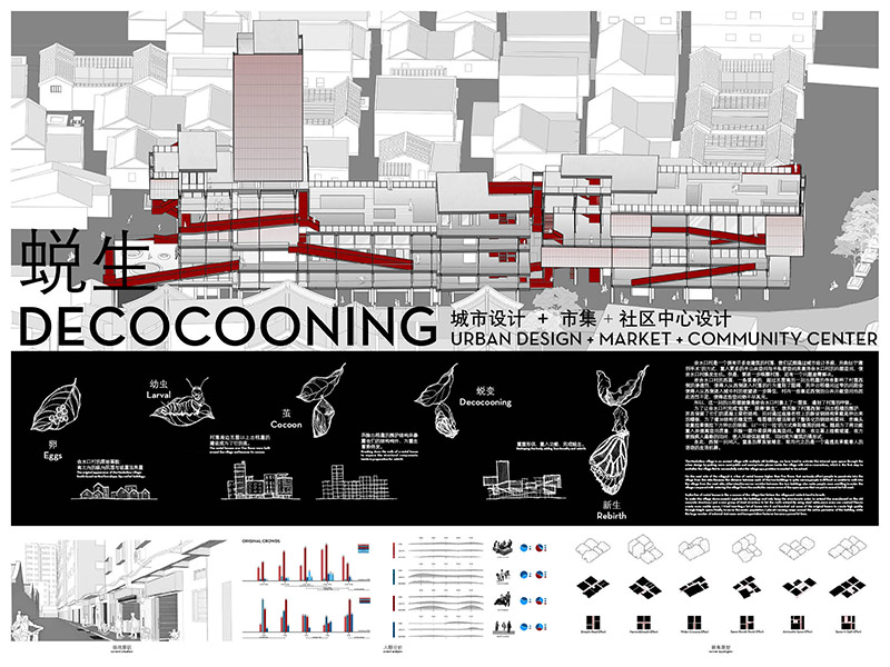 蜕生Decooning三年级