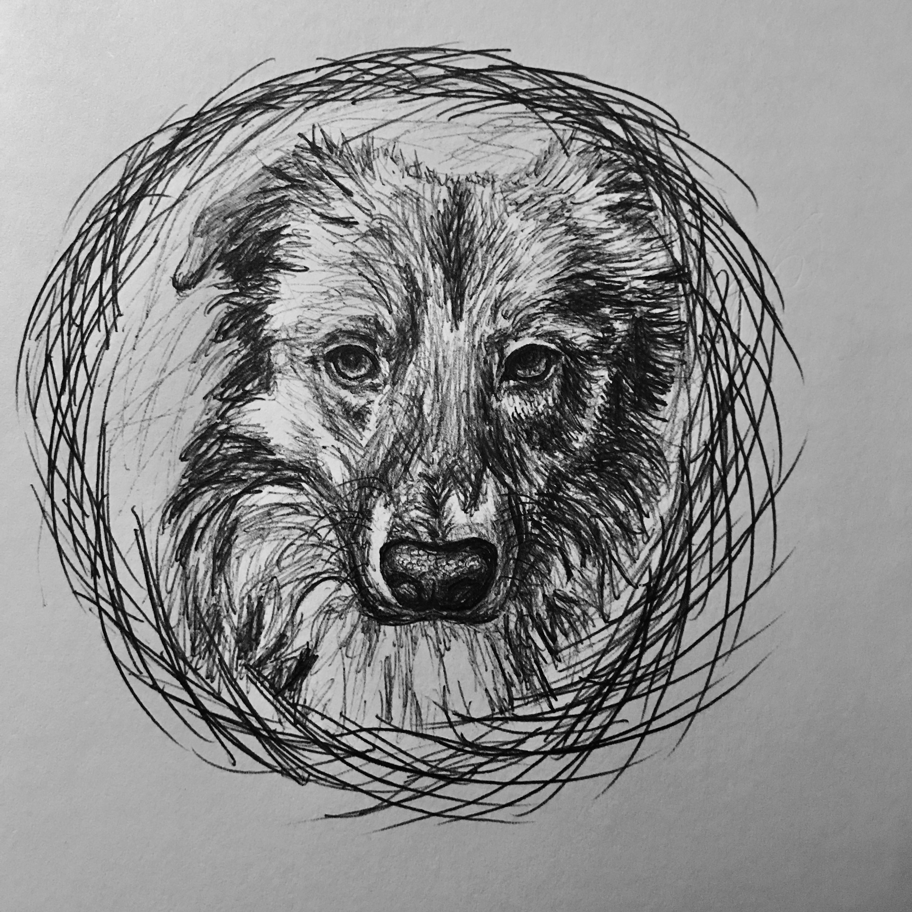Archie, 2022 by Zoë Roberts