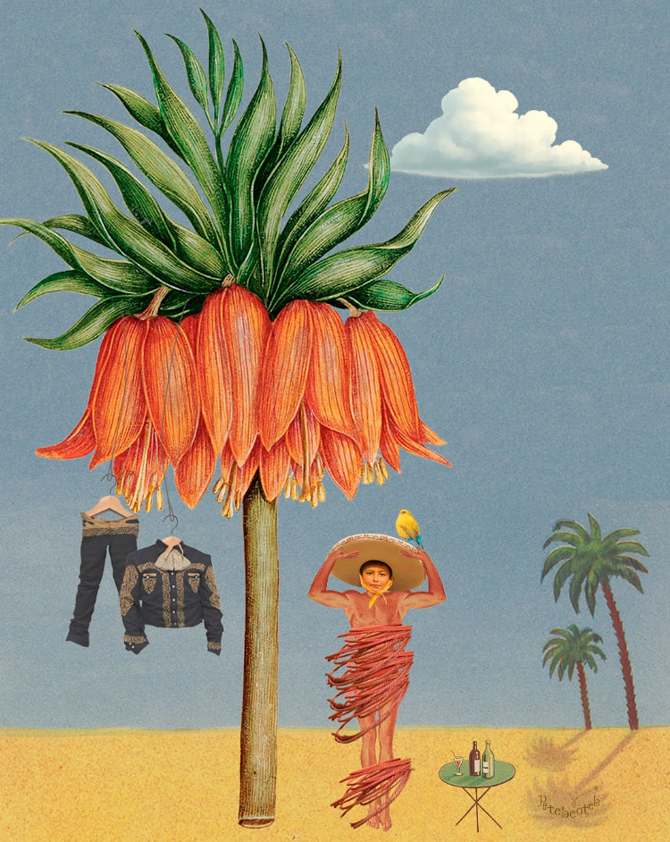 petchcotch_collageart