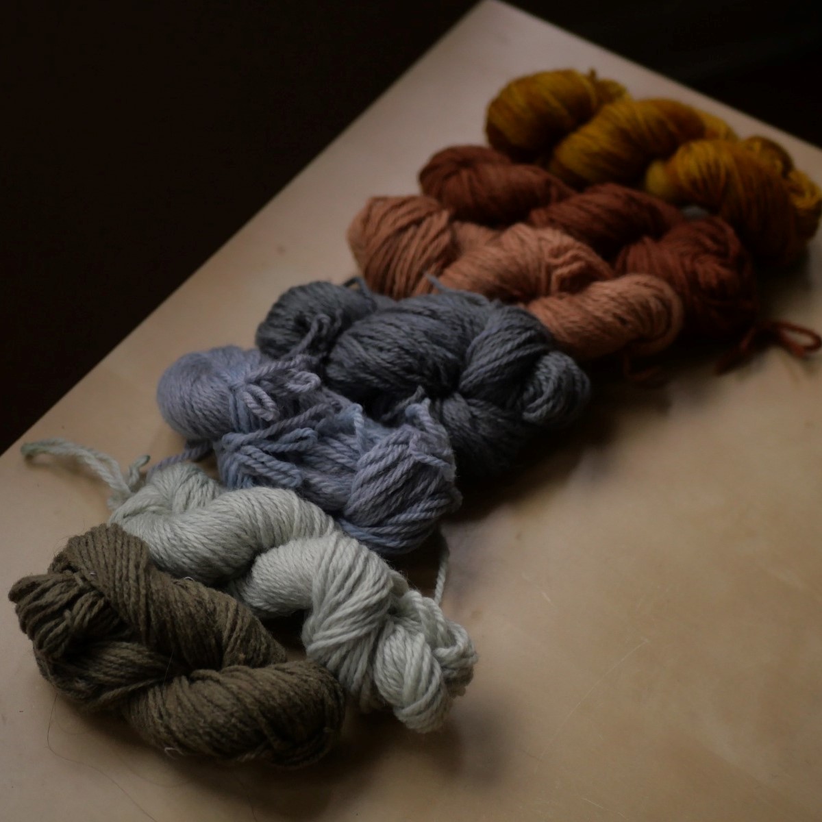 plant dyeing documentation