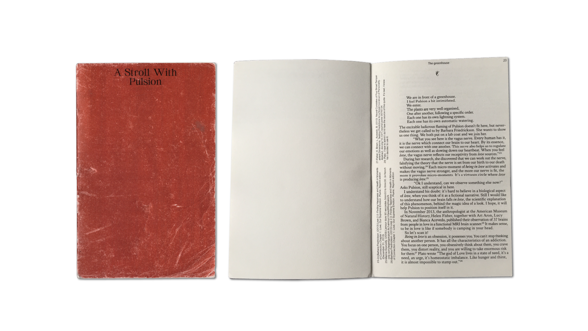 A Stroll With Pulsion — writing and book design, 2020