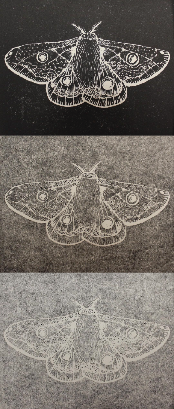 moth trio | 2021 | intaglio on plexiglass, 4⅞" x 11¼"