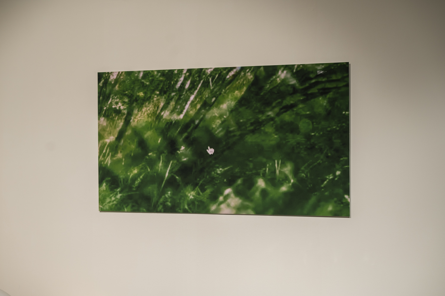 Photo credits: Volvo Car Italia and Davide Ambroggio