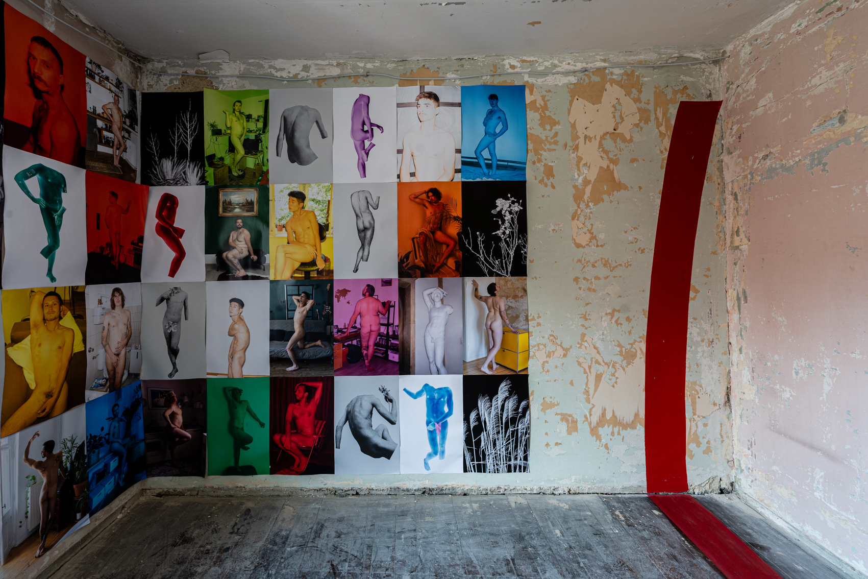 Bild 1 zu The Beauty and the Boys: Vier Reihen von etwa DinA4 gro&szlig;en Fotografien &uuml;ber den Gro&szlig;teil der Wand verteilt. Teilweise schwarz-wei&szlig;, teilweise farbige Akt Fotografien von m&auml;nnlich gelesenen Personen. Teilweise fehlen Arme und K&ouml;pfe und die K&ouml;rper sind auf einem einfarbigen Hintergrund abgebildet. Zwischen den K&ouml;rperfotografien befinden sich vereinzelt auch Schwarz-Wei&szlig;-Fotografien von Pflanzen. 