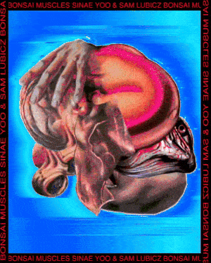 Bonsai Muscles