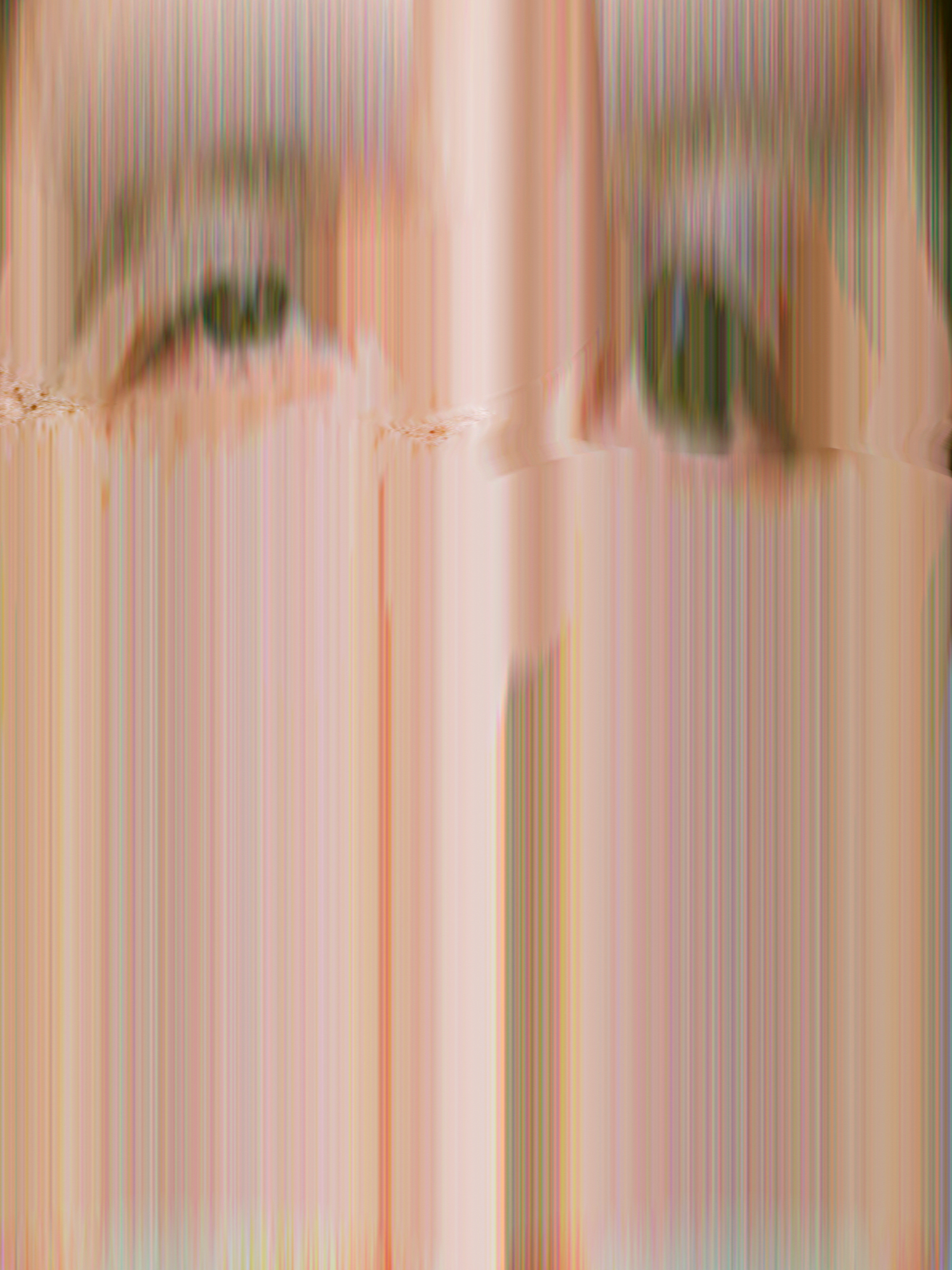 Am I Meme?