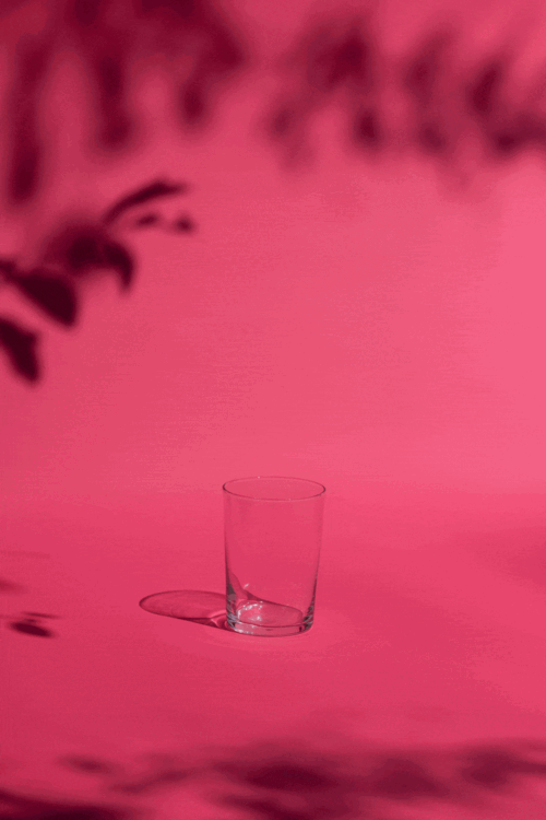 Sophomore Coffee, 2023