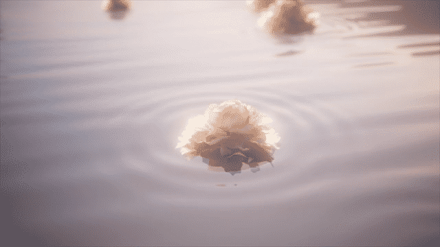 Guided Meditation for Stress | Condé Nast Traveller