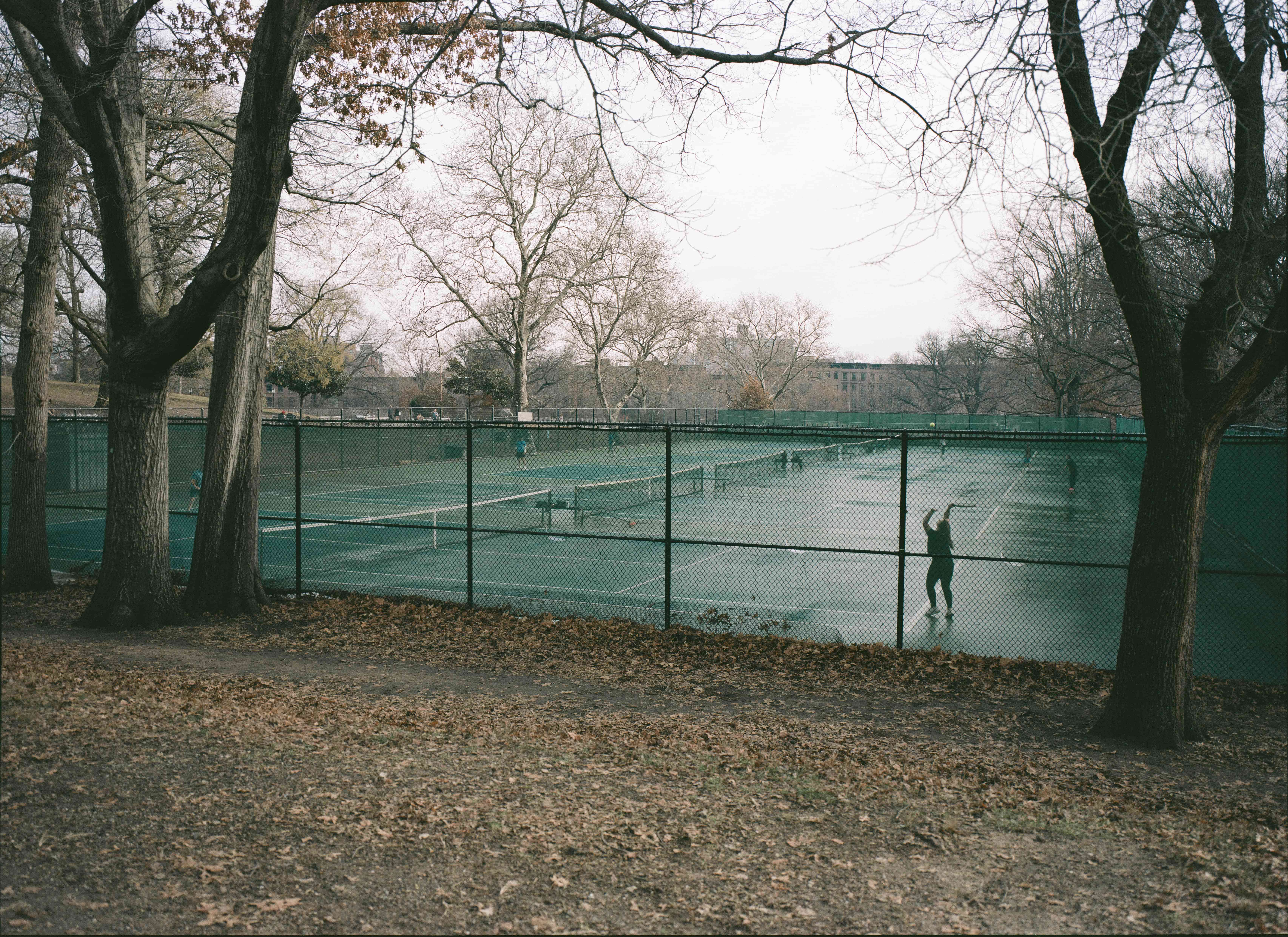 fort-greene