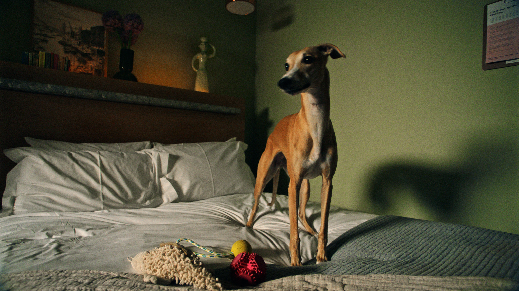 LOCKE LIVING | LOCKE HOTELS