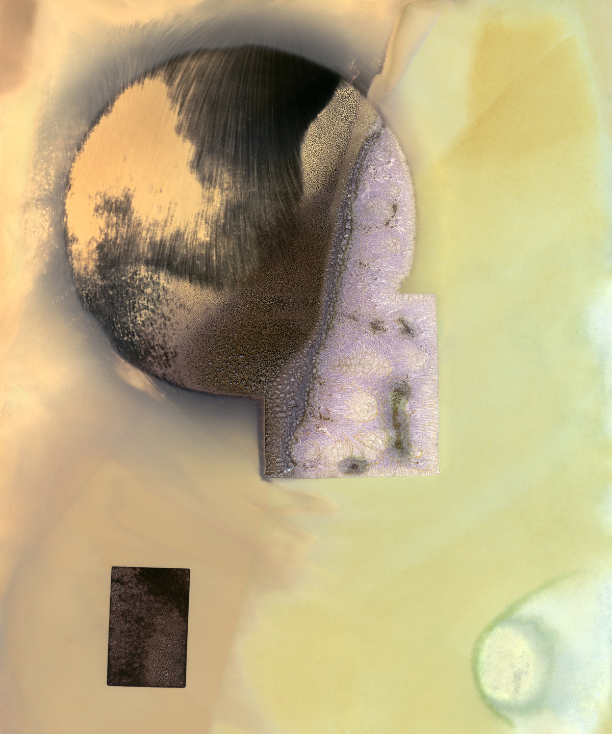Science 3, 2012. Archival inkjet, 20 x 16"