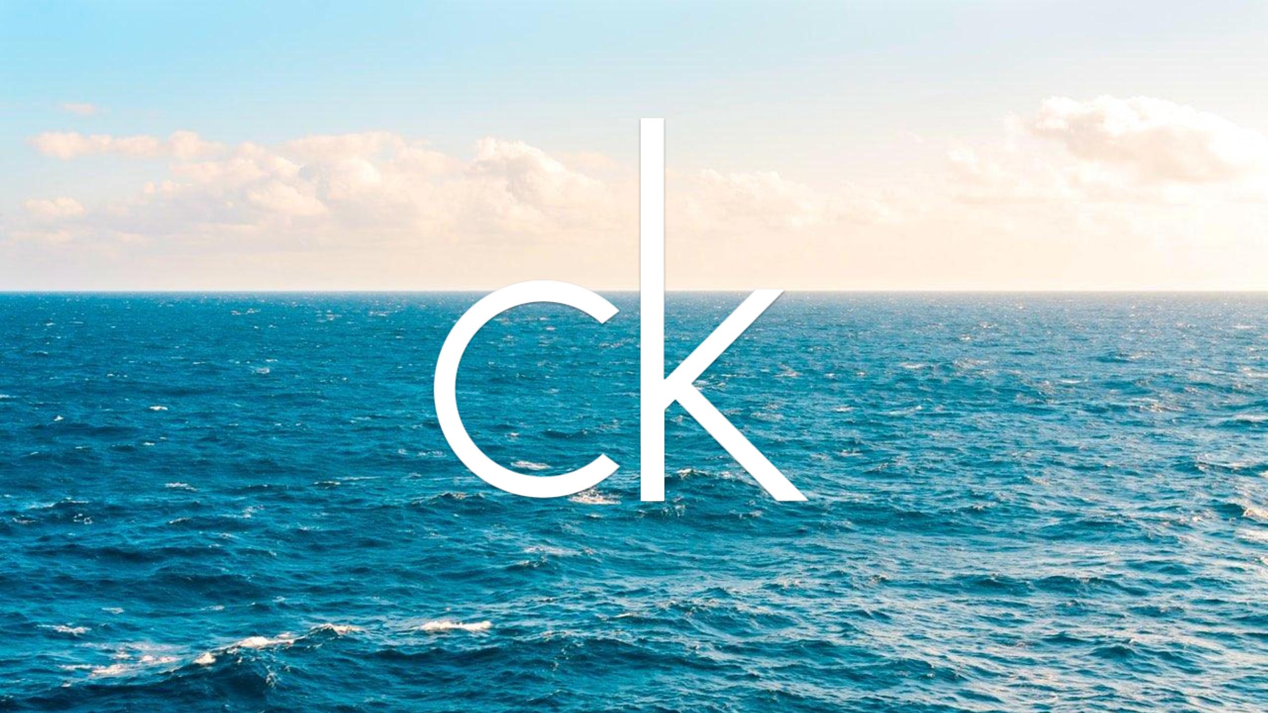 Calvin_Klein_Modeling_Campaign.pdf 